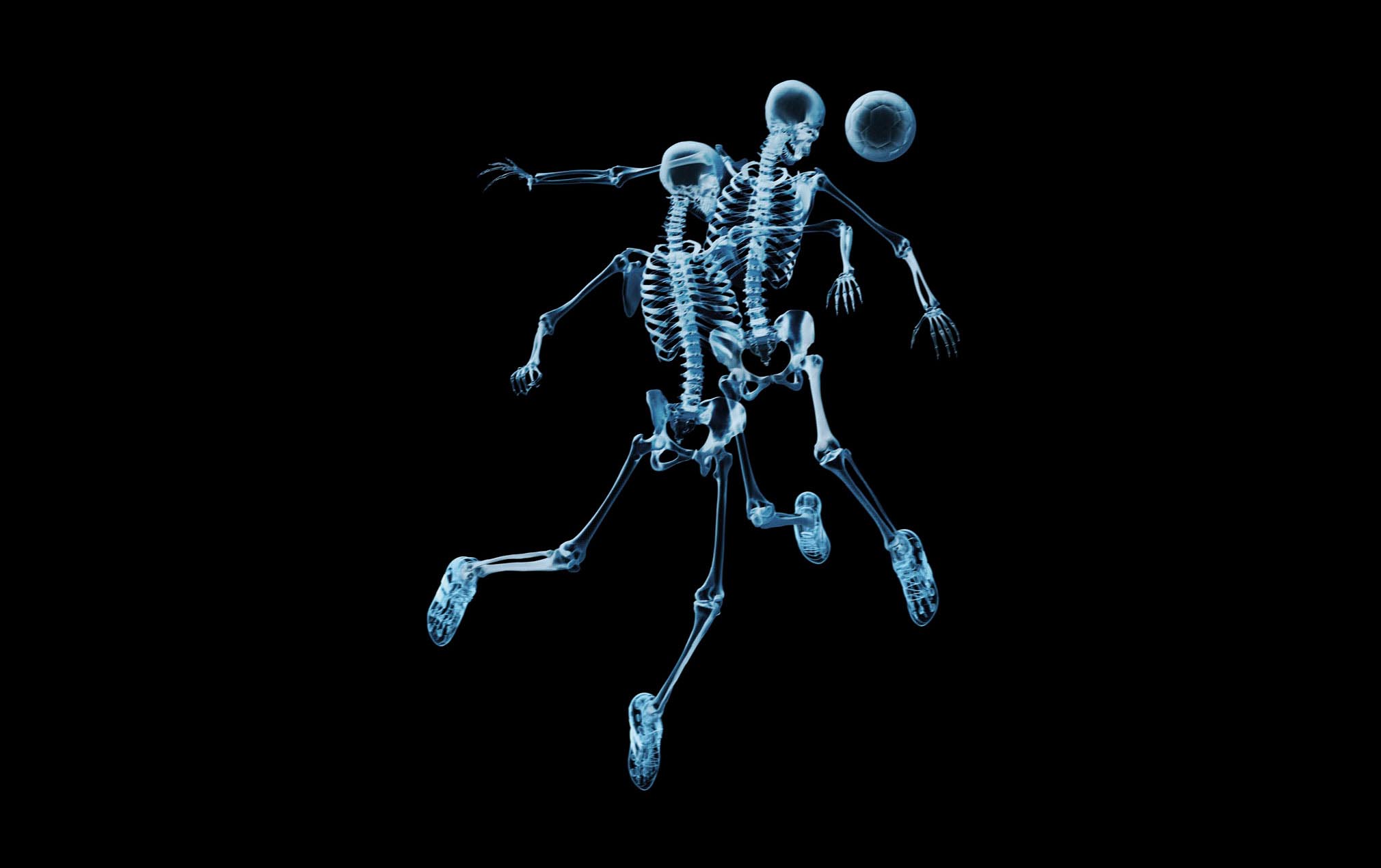 image funny Skeleton Black background