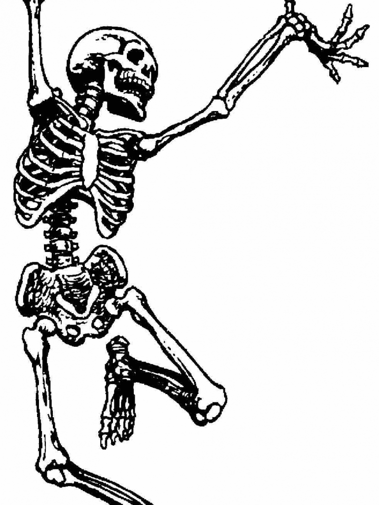 Free download Funny Skeleton Image HD Wallpaper Pretty [983x1922] for your Desktop, Mobile & Tablet. Explore Funny Skeleton Wallpaperd Skull Wallpaper, Free Skull Wallpaper, Skull Wallpaper For Desktop