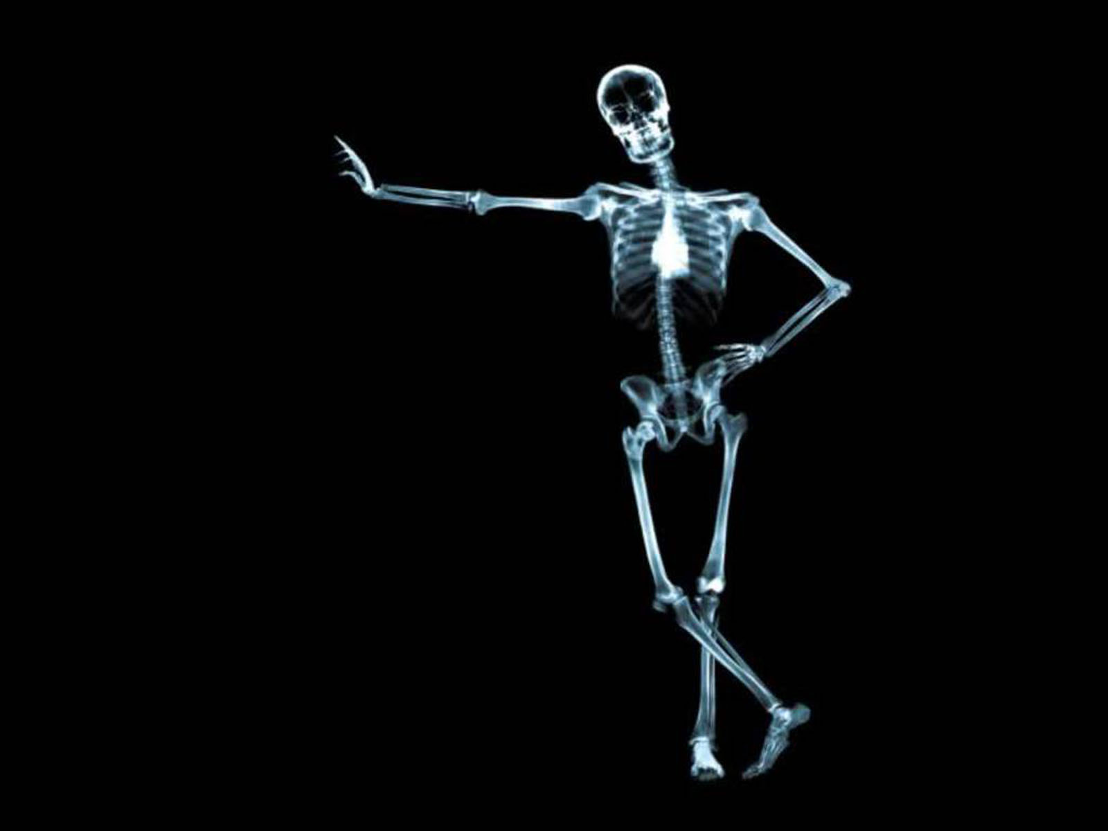 Funny Skeleton X Ray HD Wallpaper