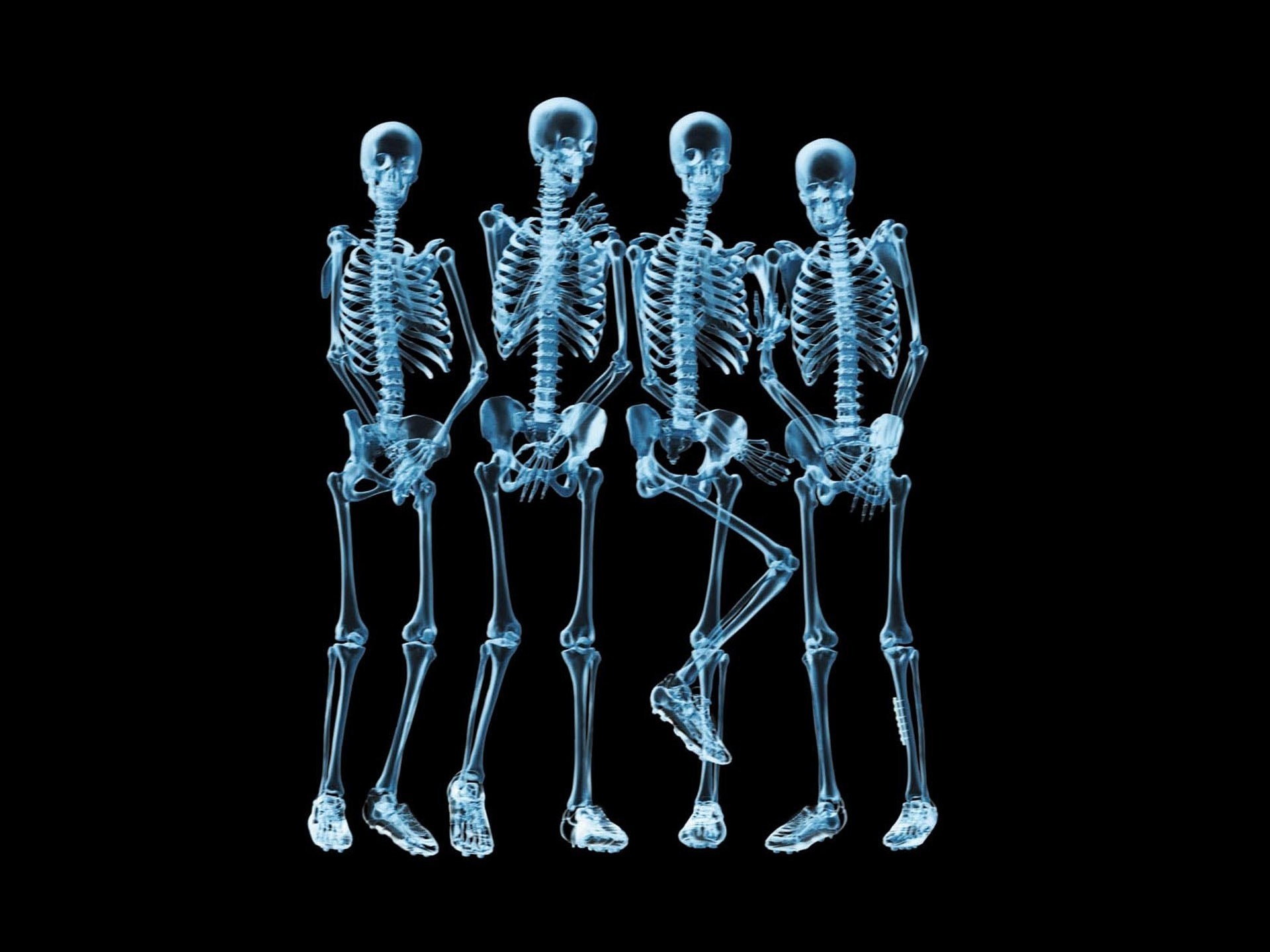 Xray funny skeletons wallpaper. PC