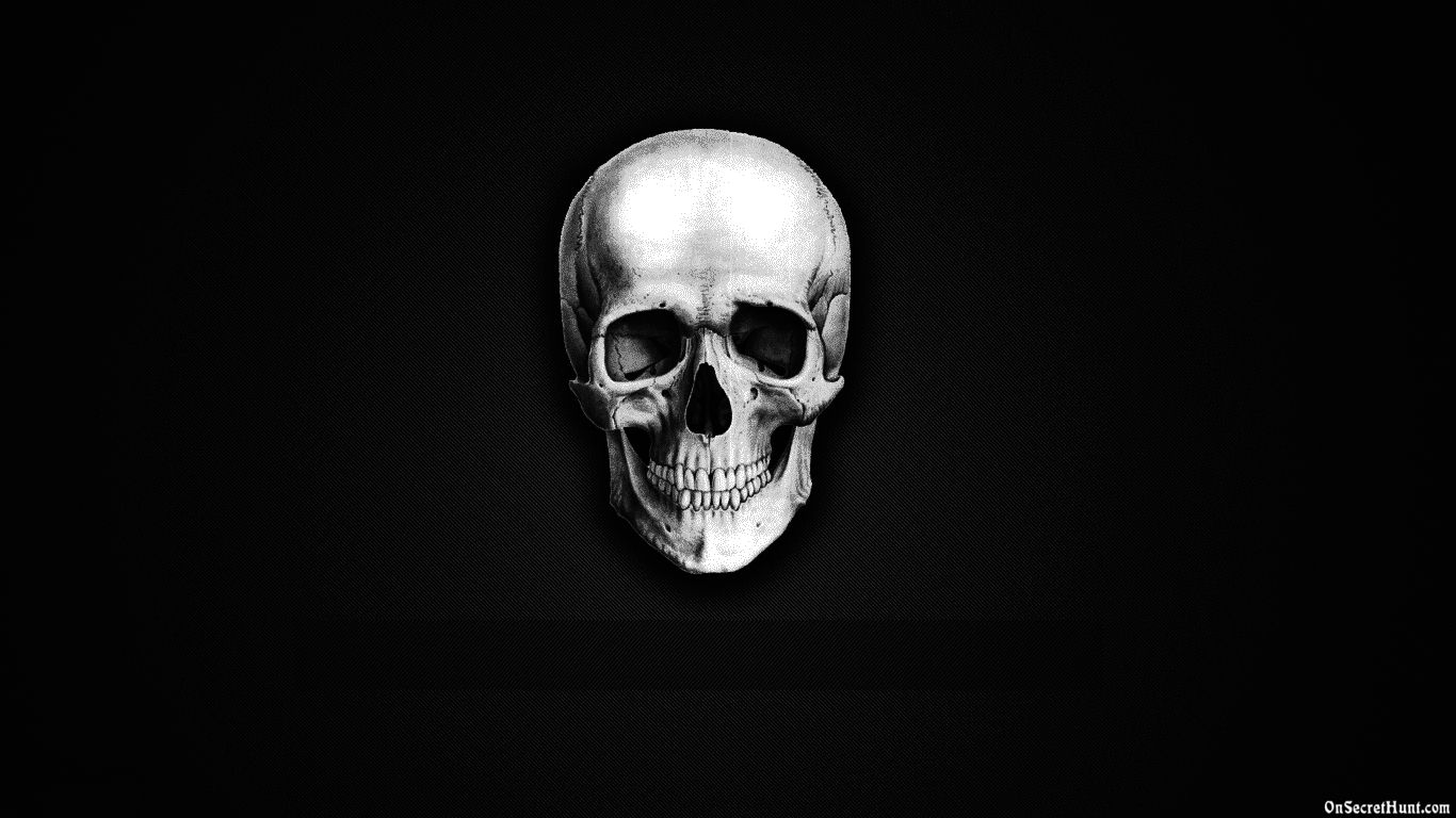 Skeleton Desktop Wallpaper Free Skeleton Desktop Background