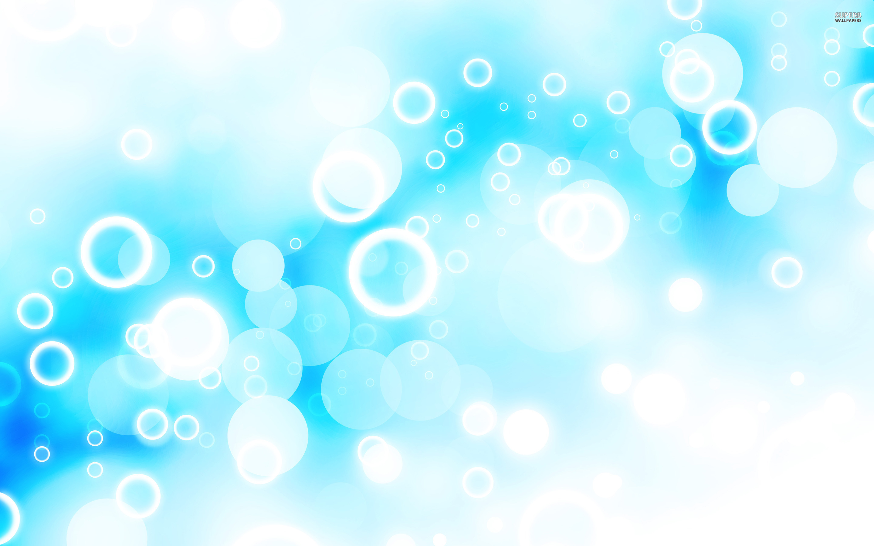 Free photo: Bubbles Background, Transparent, Translucent