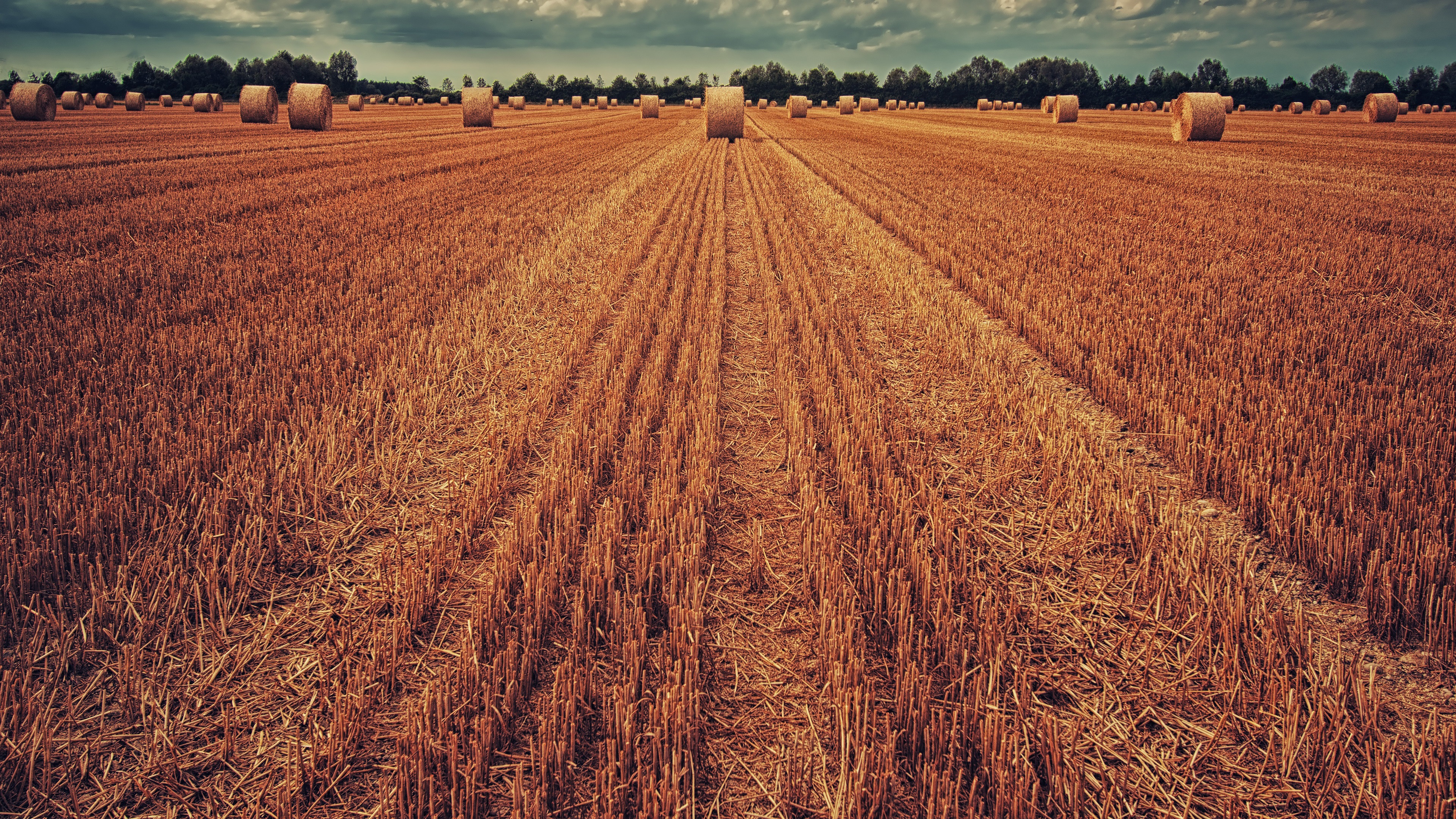 Wallpaper Wheat field, hay 3840x2160 UHD 4K Picture, Image