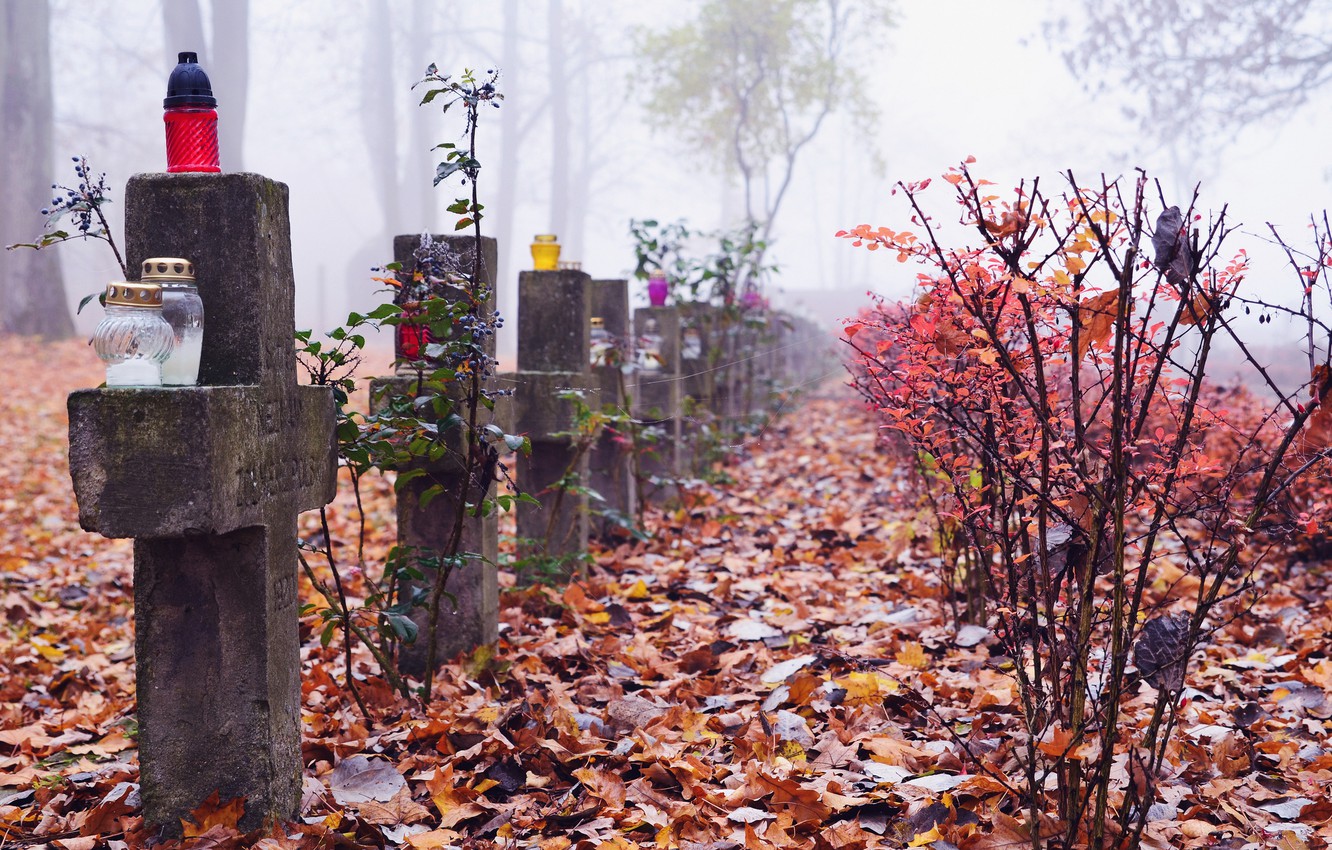 Wallpaper autumn, leaves, trees, fog, crosses, graves, cemetery image for desktop, section пейзажи