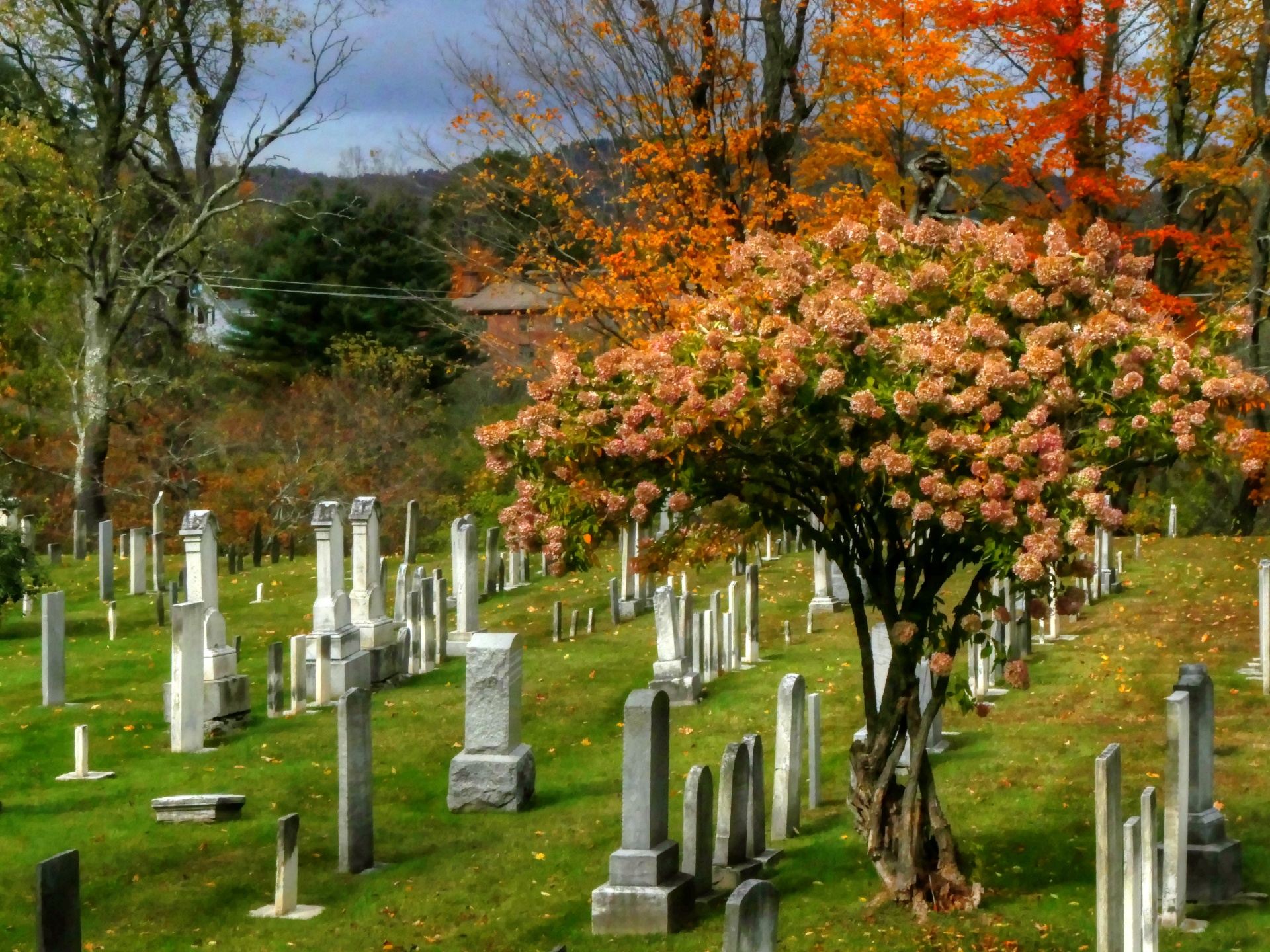 Autumn Graveyard Free Domain Picture