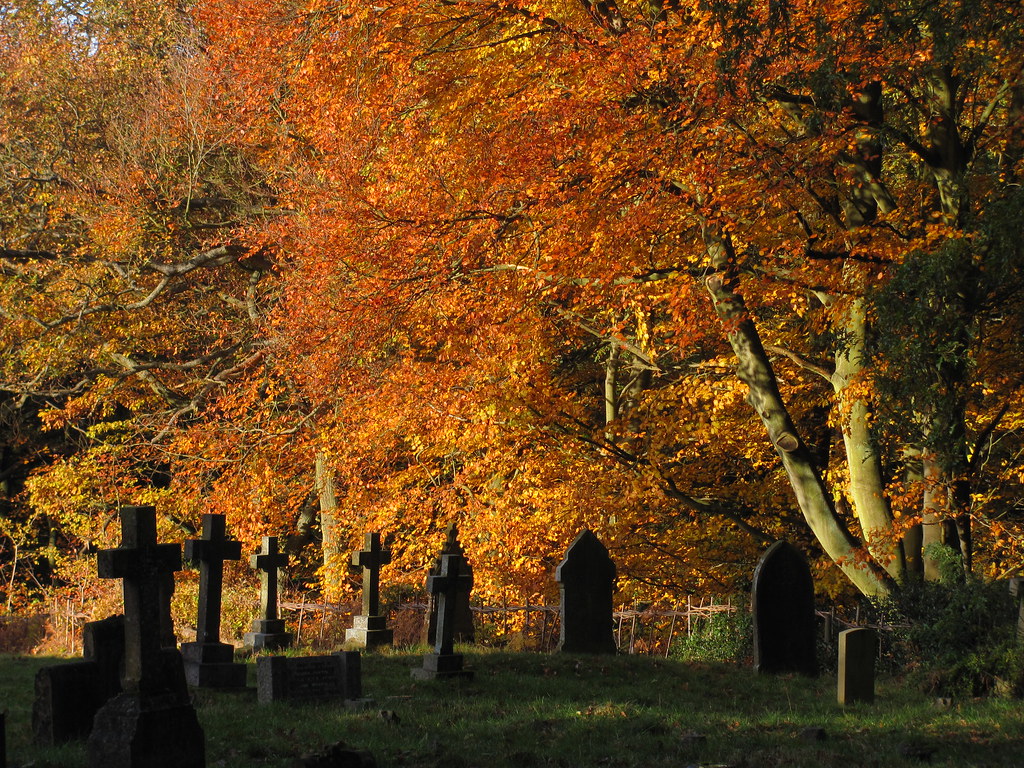Autumn Graveyard II. wasn't sure which one I liked best