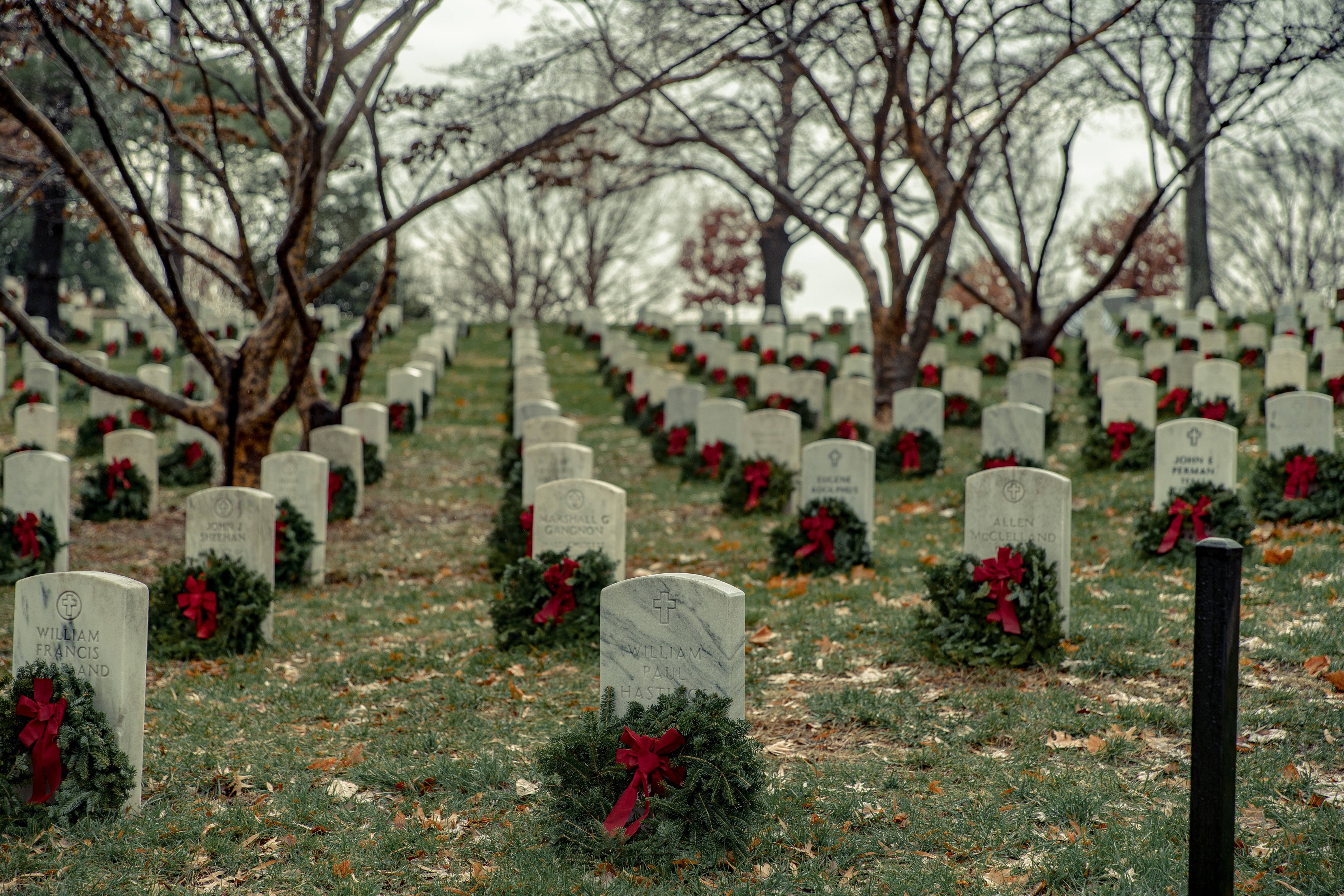 Big Military Graveyard With Wreaths · Free