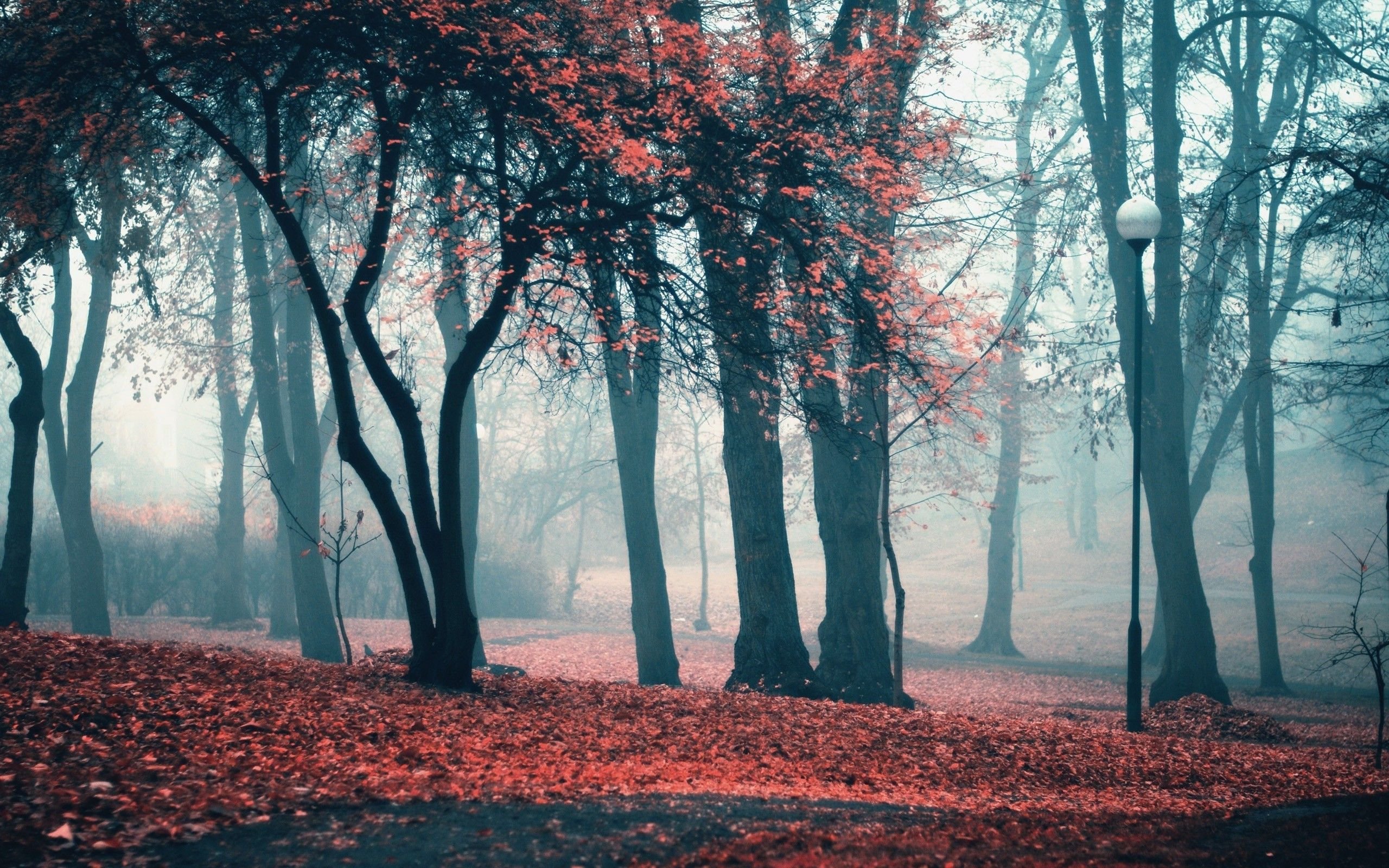 Park In The Fog, Td 20 Park In Autumn