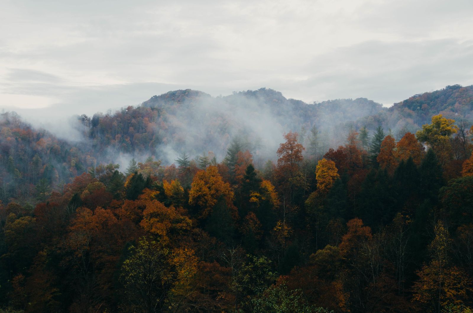 Nature Trees Mountains Forest Fog Hills Autumn Fall Cloudy Forest