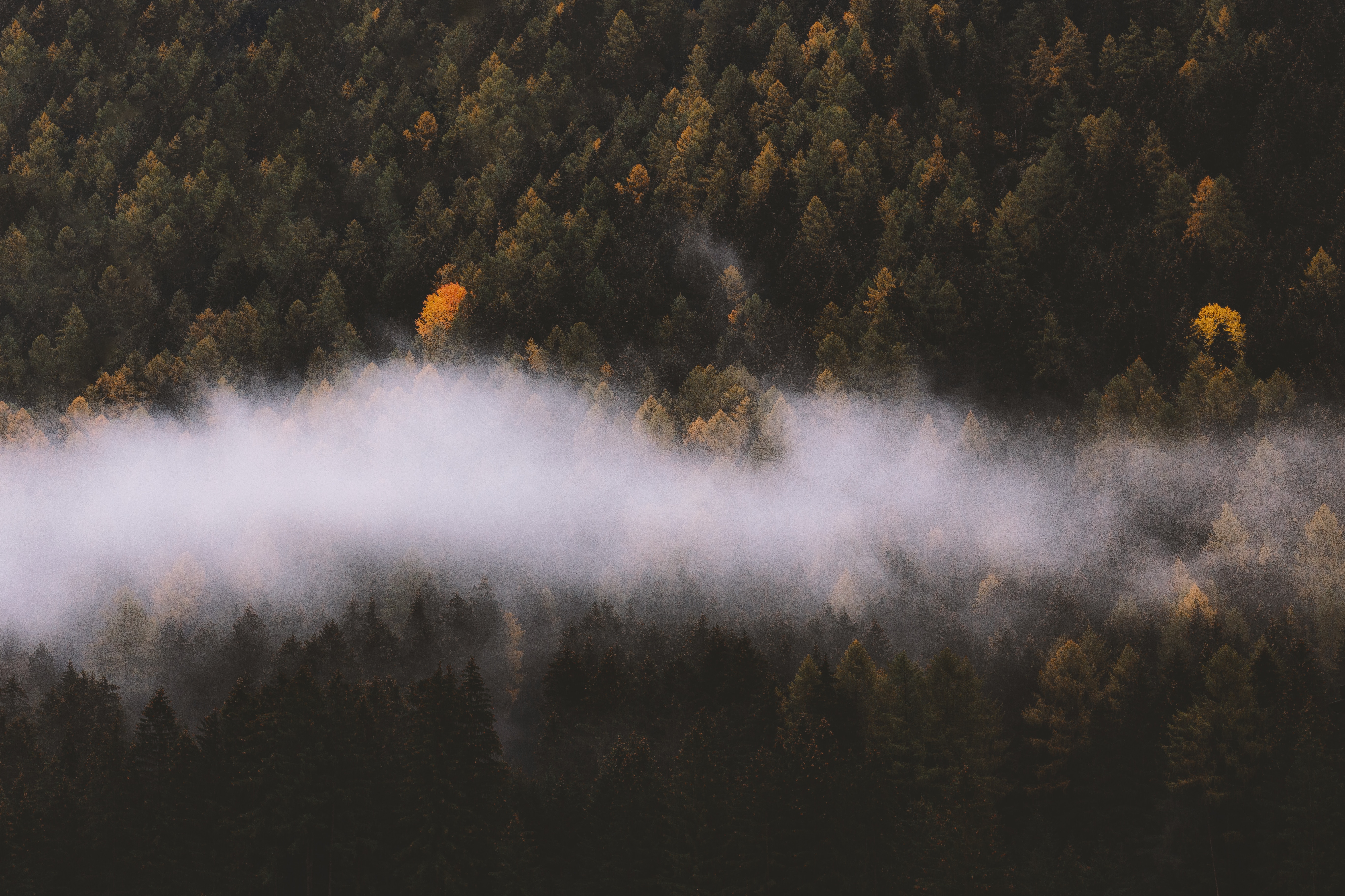 5472x3648 autumn, foggy, wallpaper, explore more, nature landscape, Creative Commons image, drone view, mist, mist haze, fog, fall, explore, nature, misty, from above, nature green