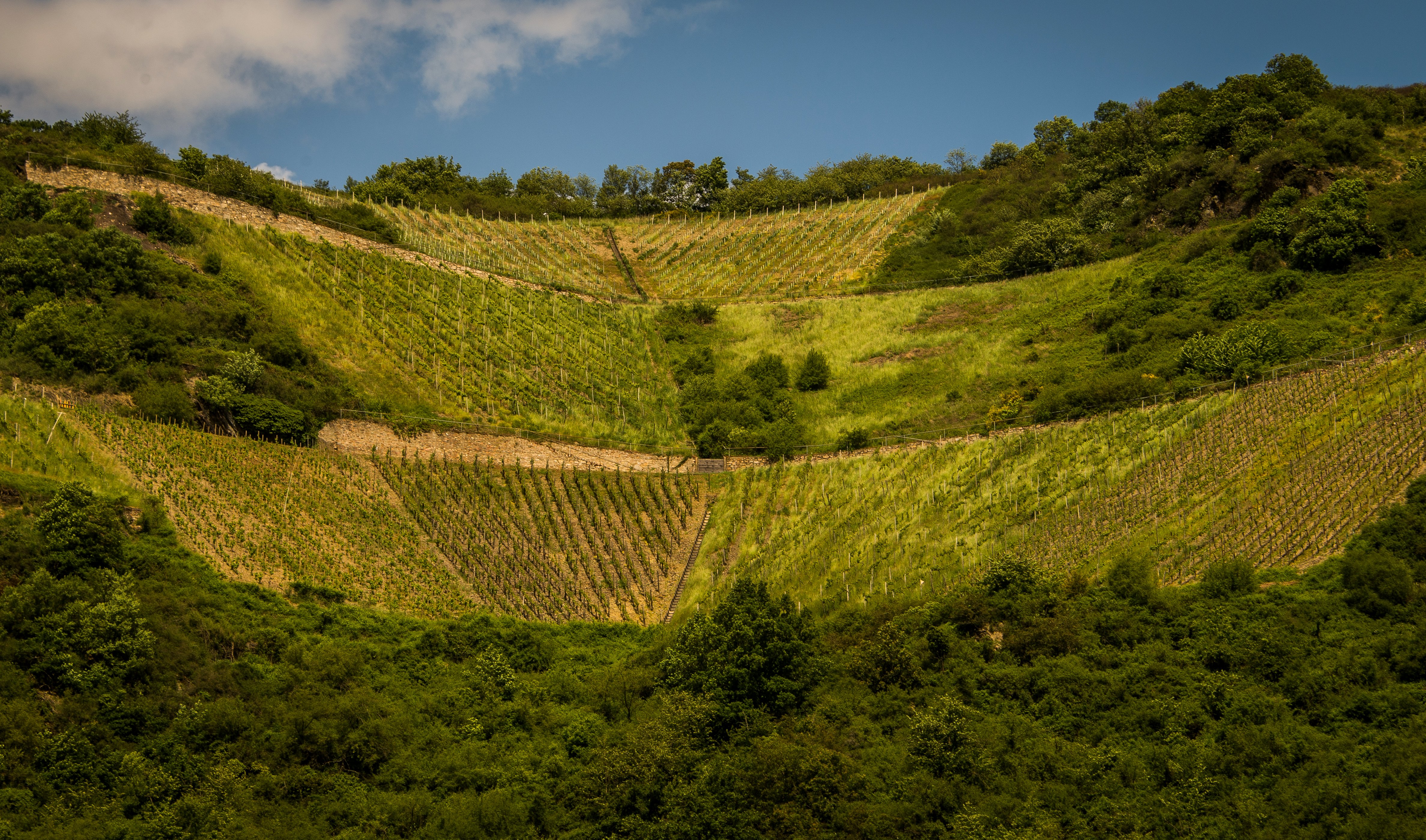 germany, Scenery, Fields, Spay, Mayen koblenz, Nature Wallpaper HD / Desktop and Mobile Background