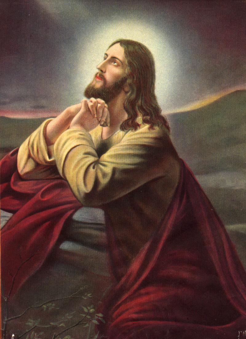 jesus praying on the mountain wallpaper