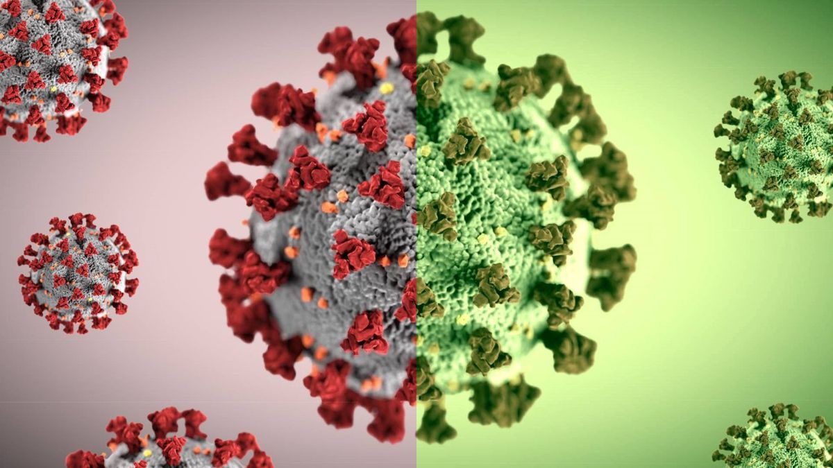COVID positivity rate remains at 2% in VA