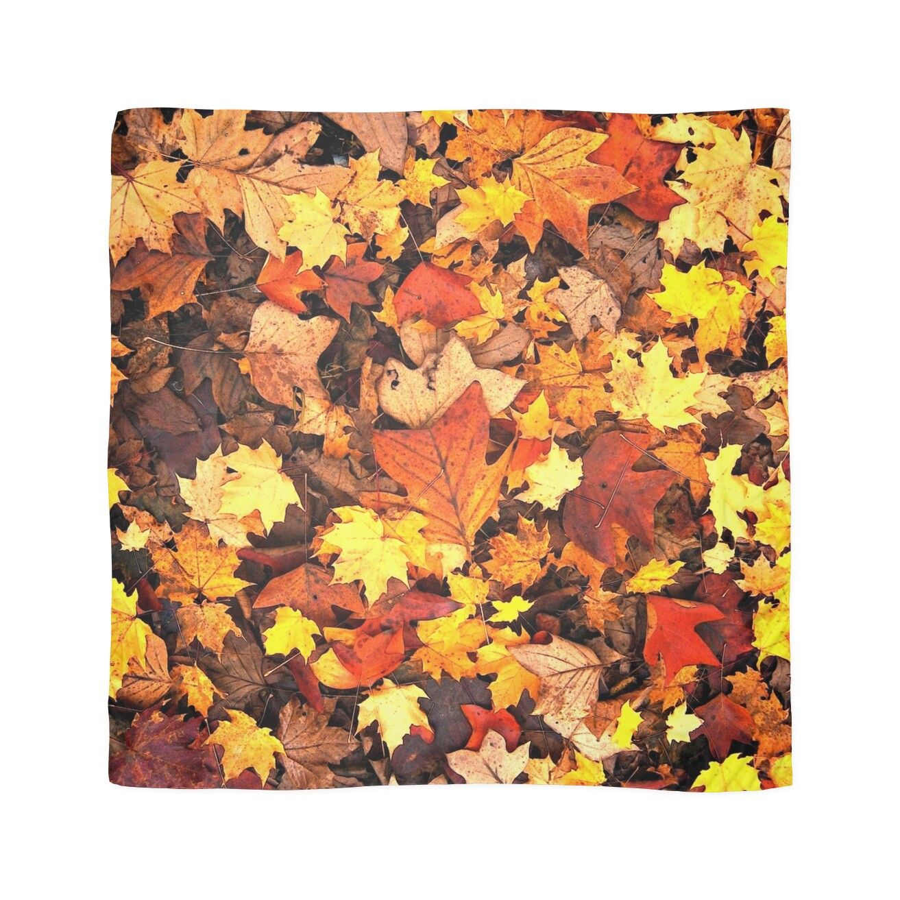 Fall Foliage Scarf by virginia50. Fall wallpaper, Desktop wallpaper fall, iPhone wallpaper fall