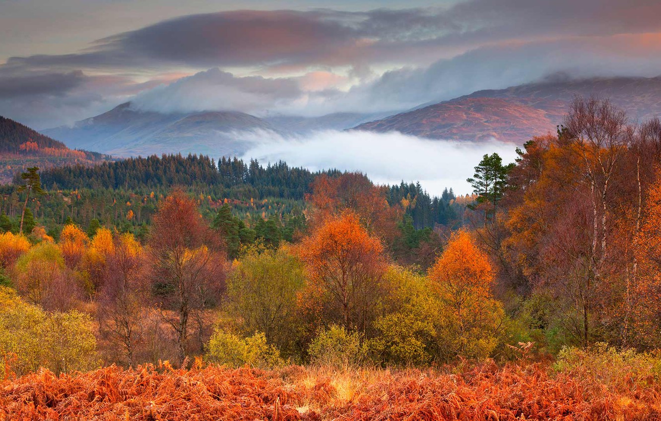 Wallpaper autumn, trees, mountains, Scotland, National Park Loch Lomond and the Trossachs image for desktop, section природа