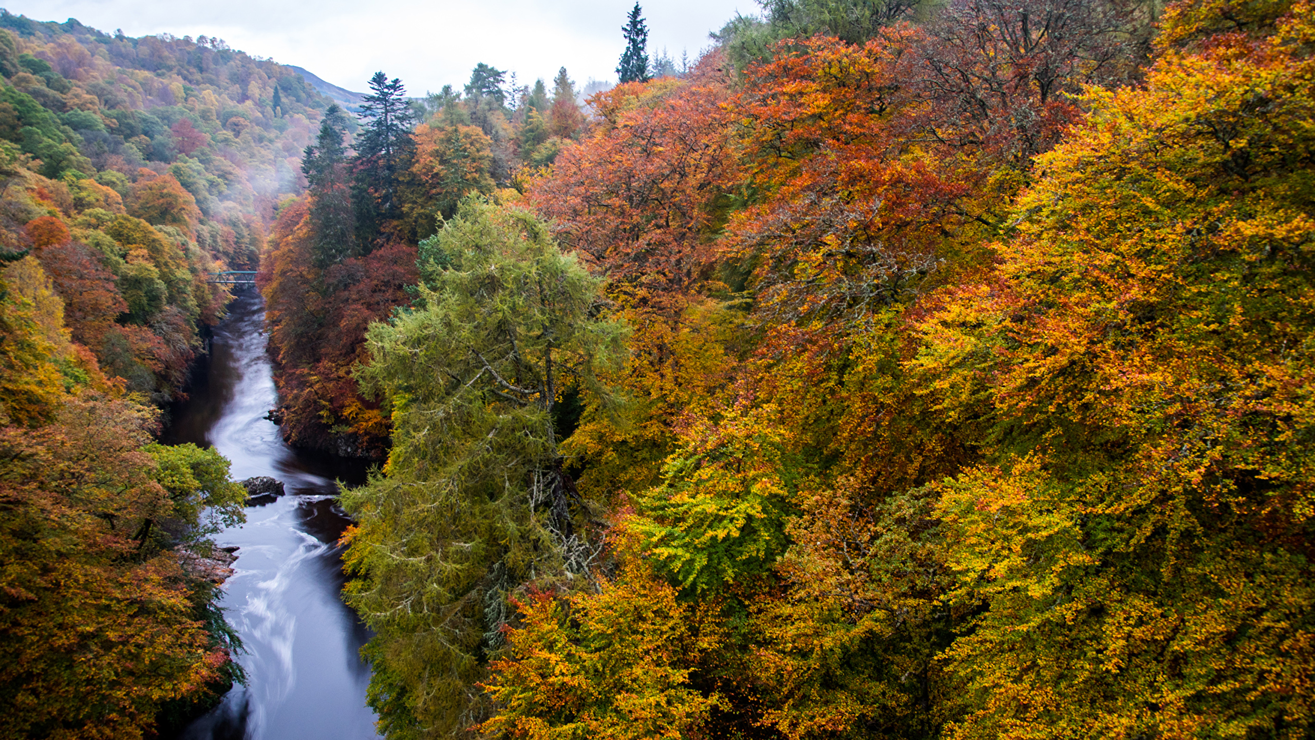 Photos Scotland Perthshire Autumn Nature Forests river 2560x1440