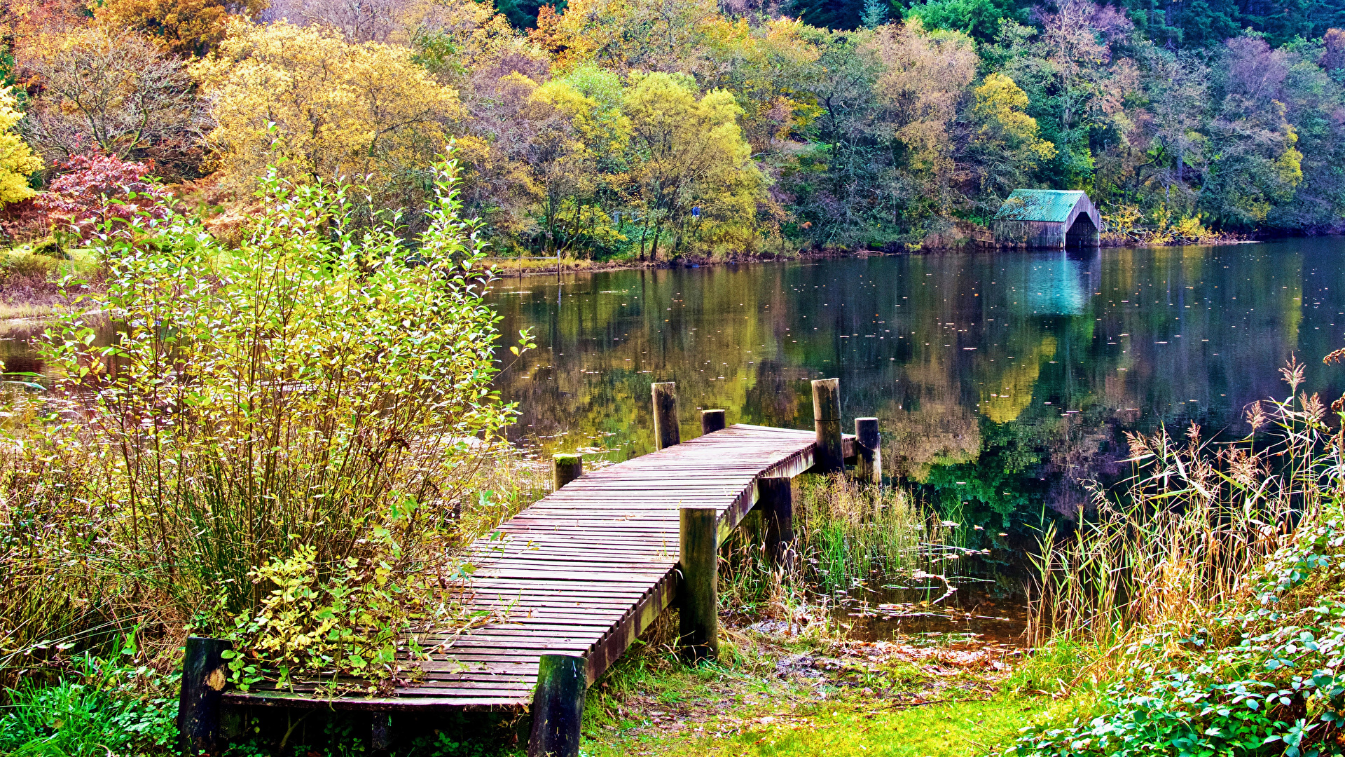 Photos Scotland Aberfoyle Autumn Nature Lake forest Berth 1920x1080