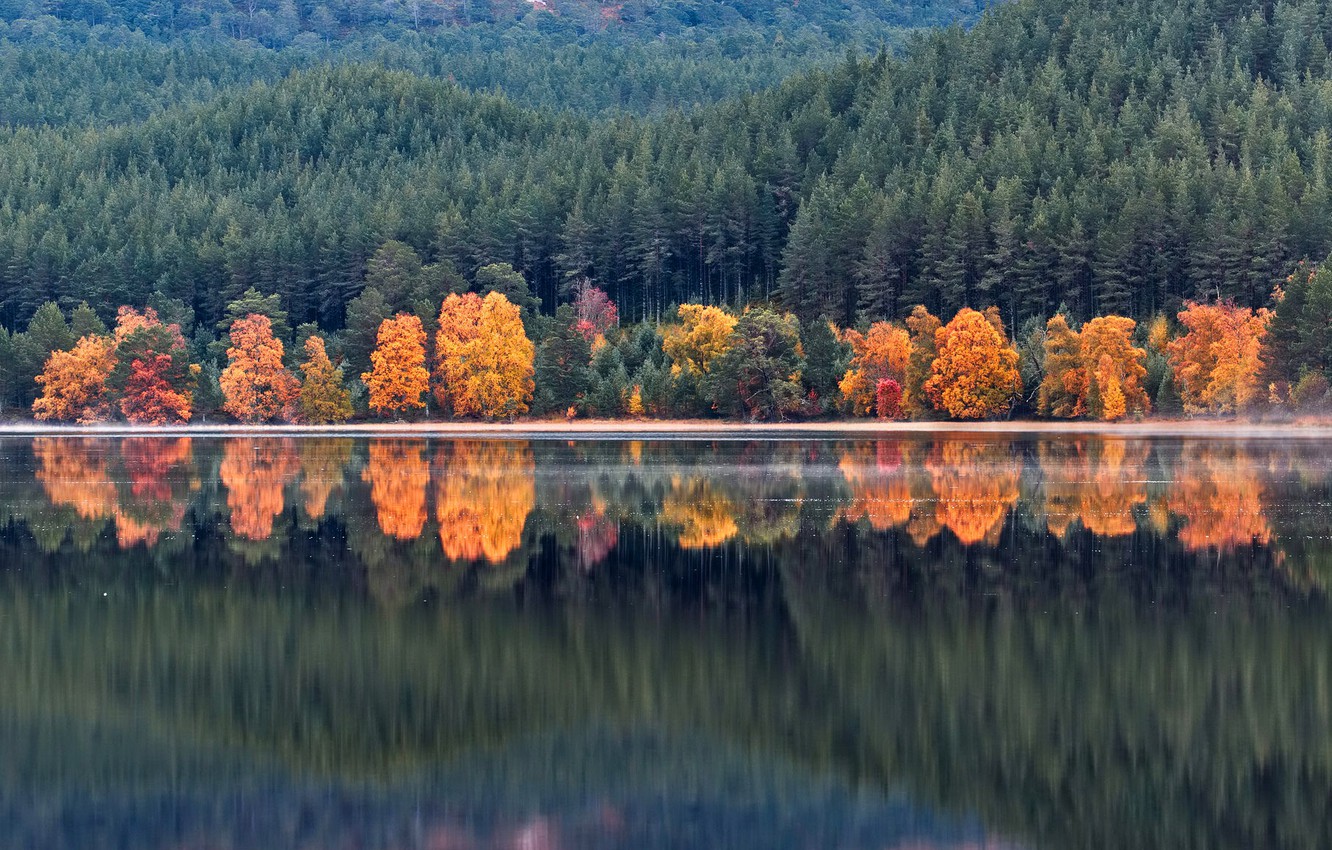 Wallpaper autumn, forest, water, trees, mountains, lake, reflection, shore, Scotland, Loch Morlich image for desktop, section природа