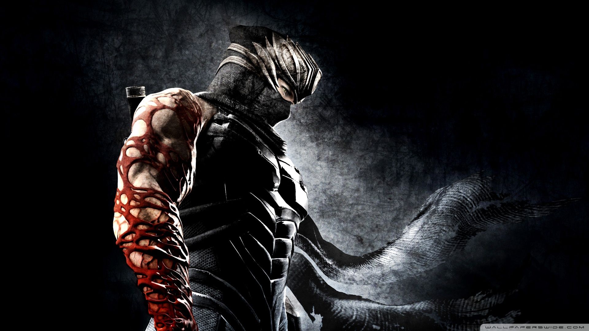 Ninja Gaiden 3 Wallpaper