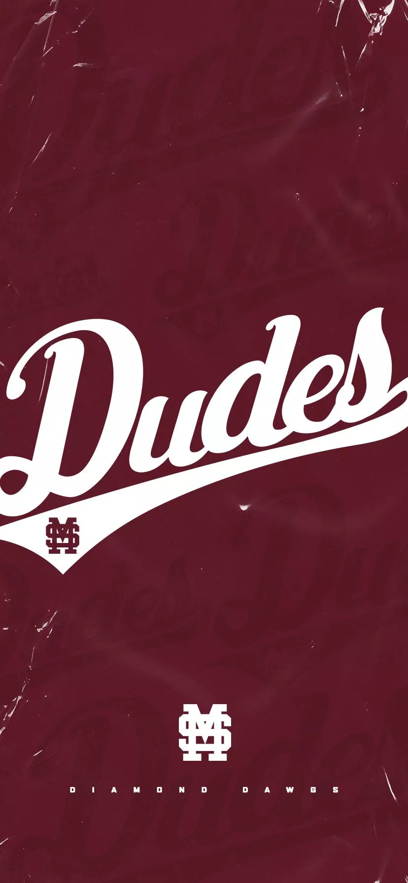 Zoom Background & Phone Wallpaper