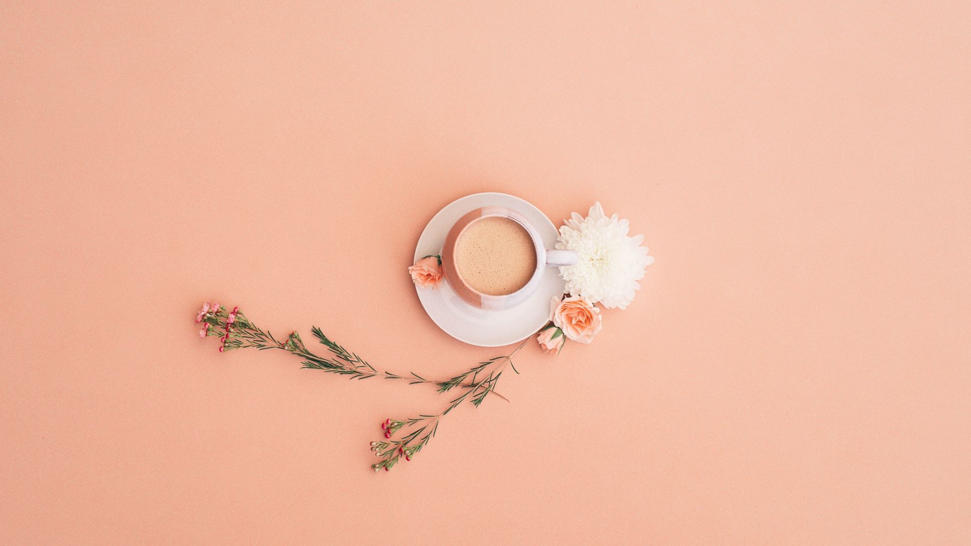 Desktop wallpaper minimal, cup, flowers, HD image, picture, background, 9a0558