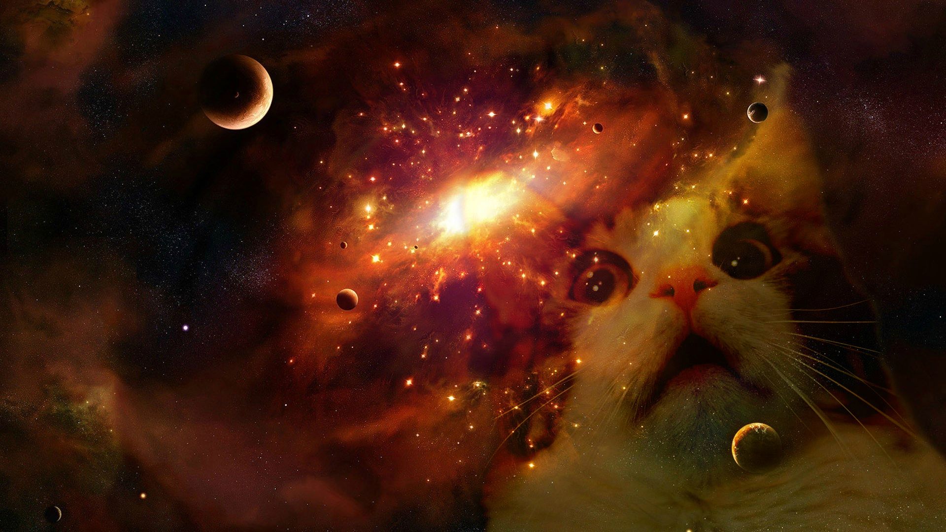 Space cat wallpaper