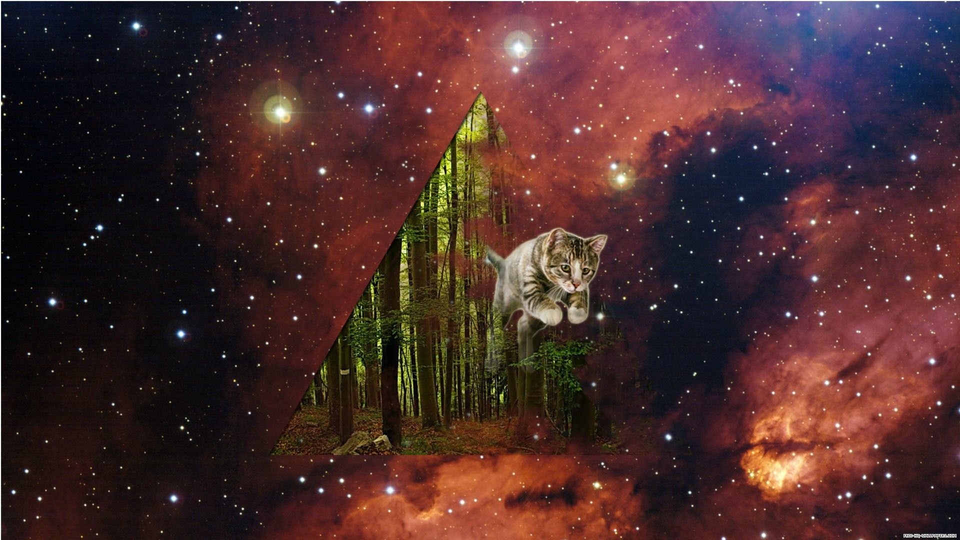 Cats In Space • R Spacecats. Hipster Phone Wallpaper, Cat Wallpaper, Space Phone Wallpaper