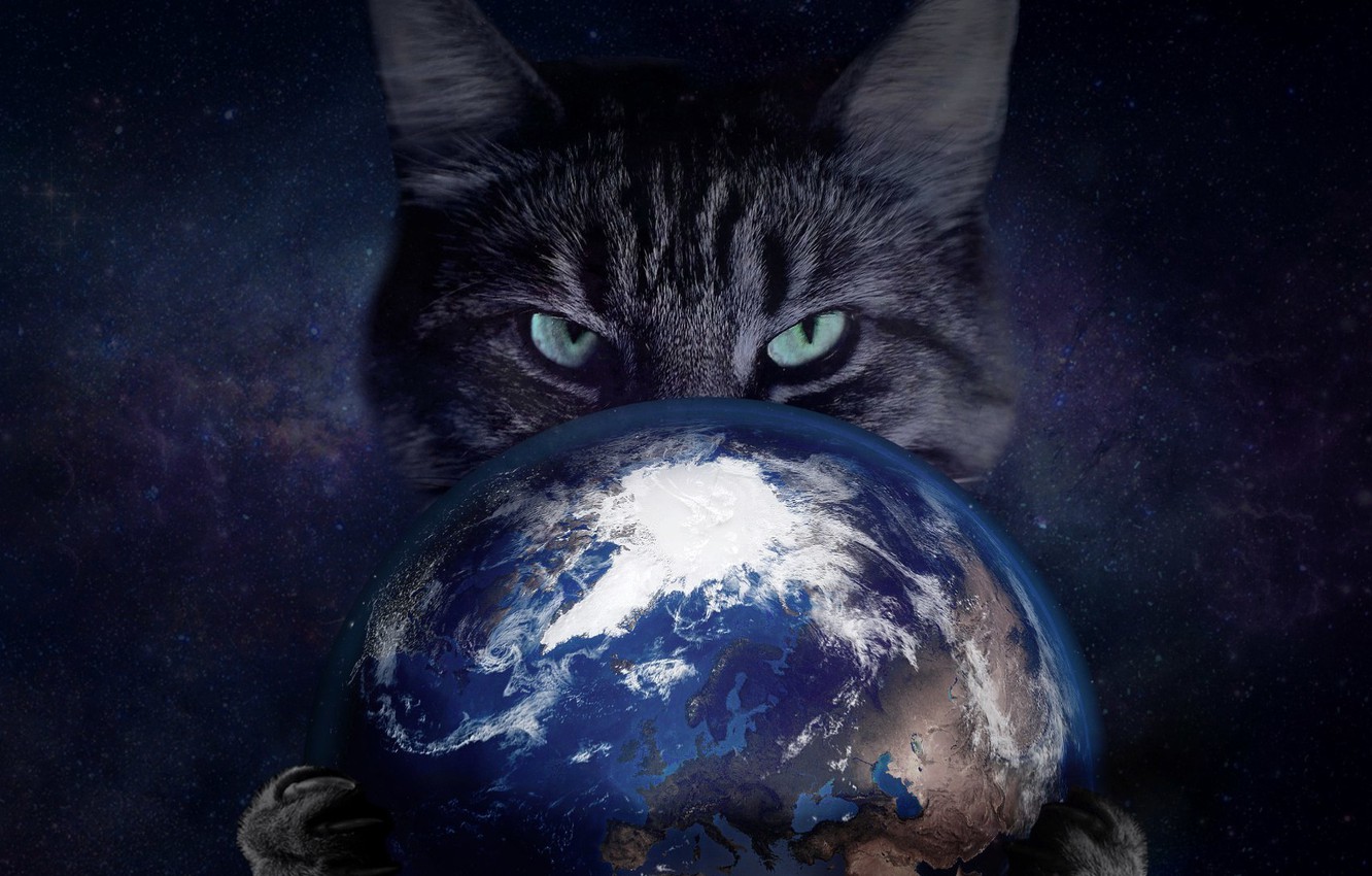 Wallpaper Cat, Space, Eyes, Claws, Earth, Enslavement image for desktop, section кошки