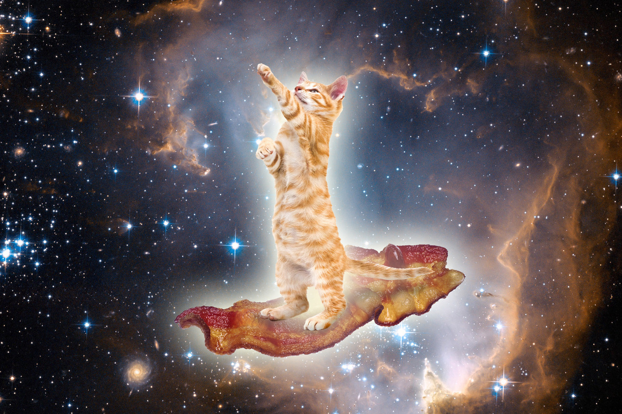 Galaxy Cat Background
