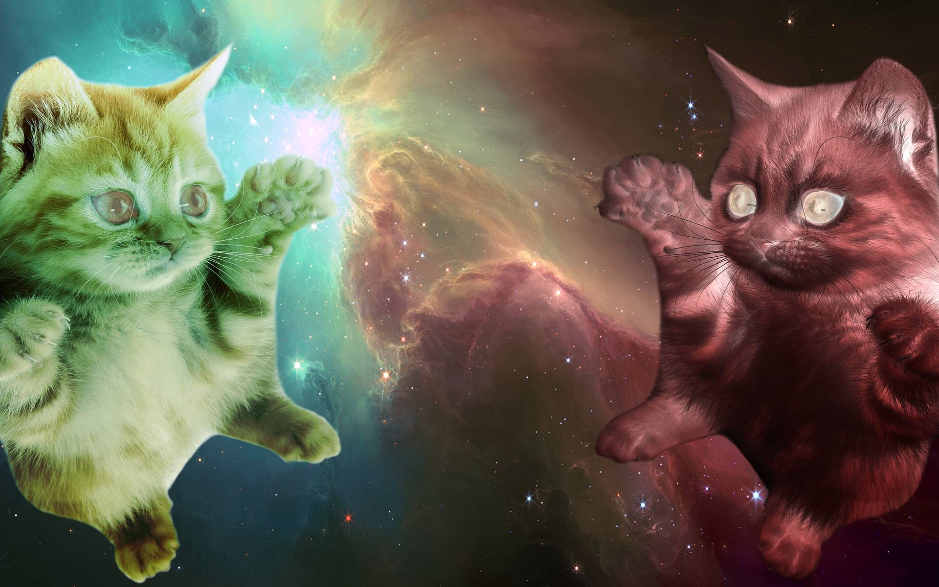 Free download Space Laser Cat Wallpaper Space cats [1920x1200] for your Desktop, Mobile & Tablet. Explore Space Cat Wallpaper. Space Cats HD Wallpaper, HD Outer Space Wallpaper, Space Kitty Wallpaper