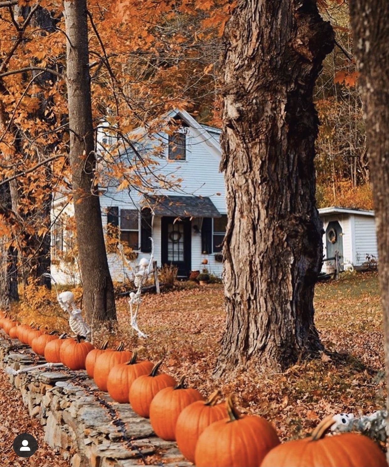 Осень \ Аutumn. Autumn scenery, Farmhouse halloween, Fall halloween