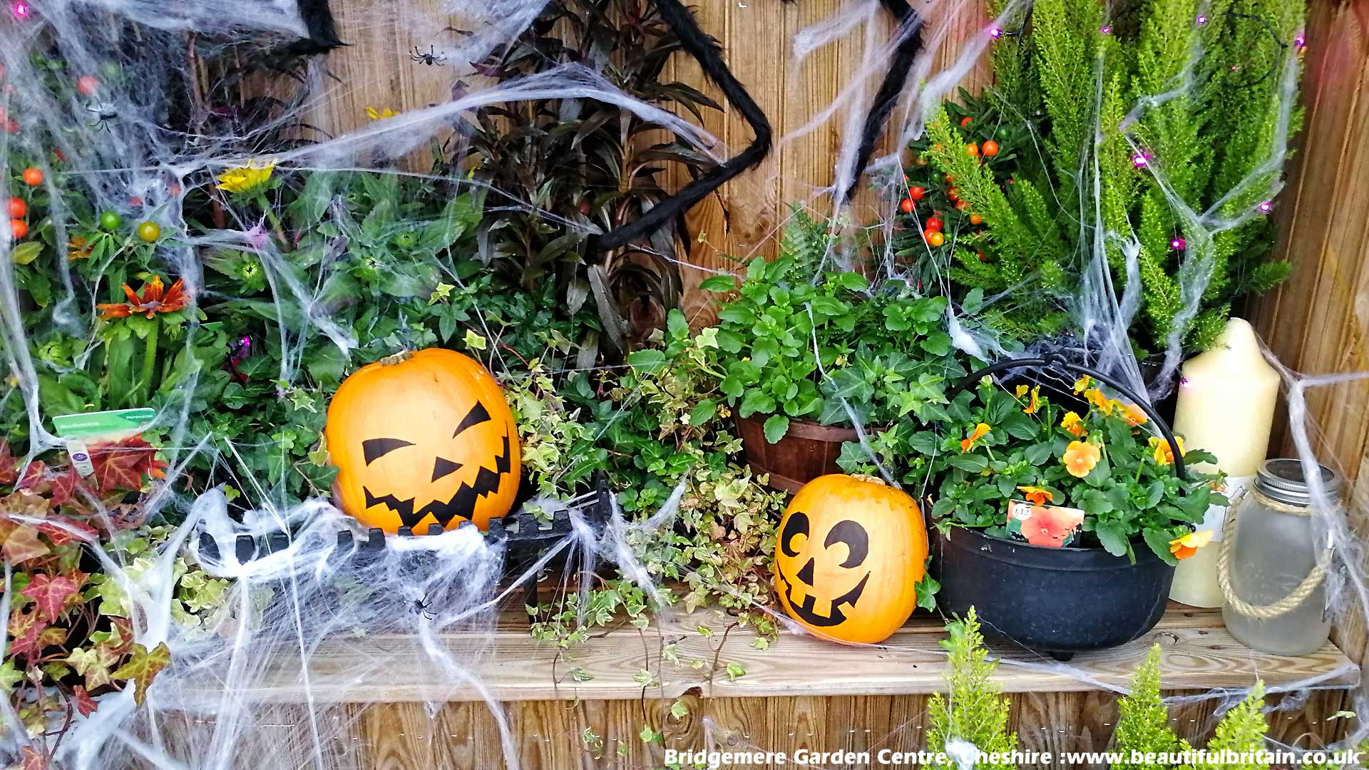 The British Countryside Scenery Wallpaper of Beautiful Britain