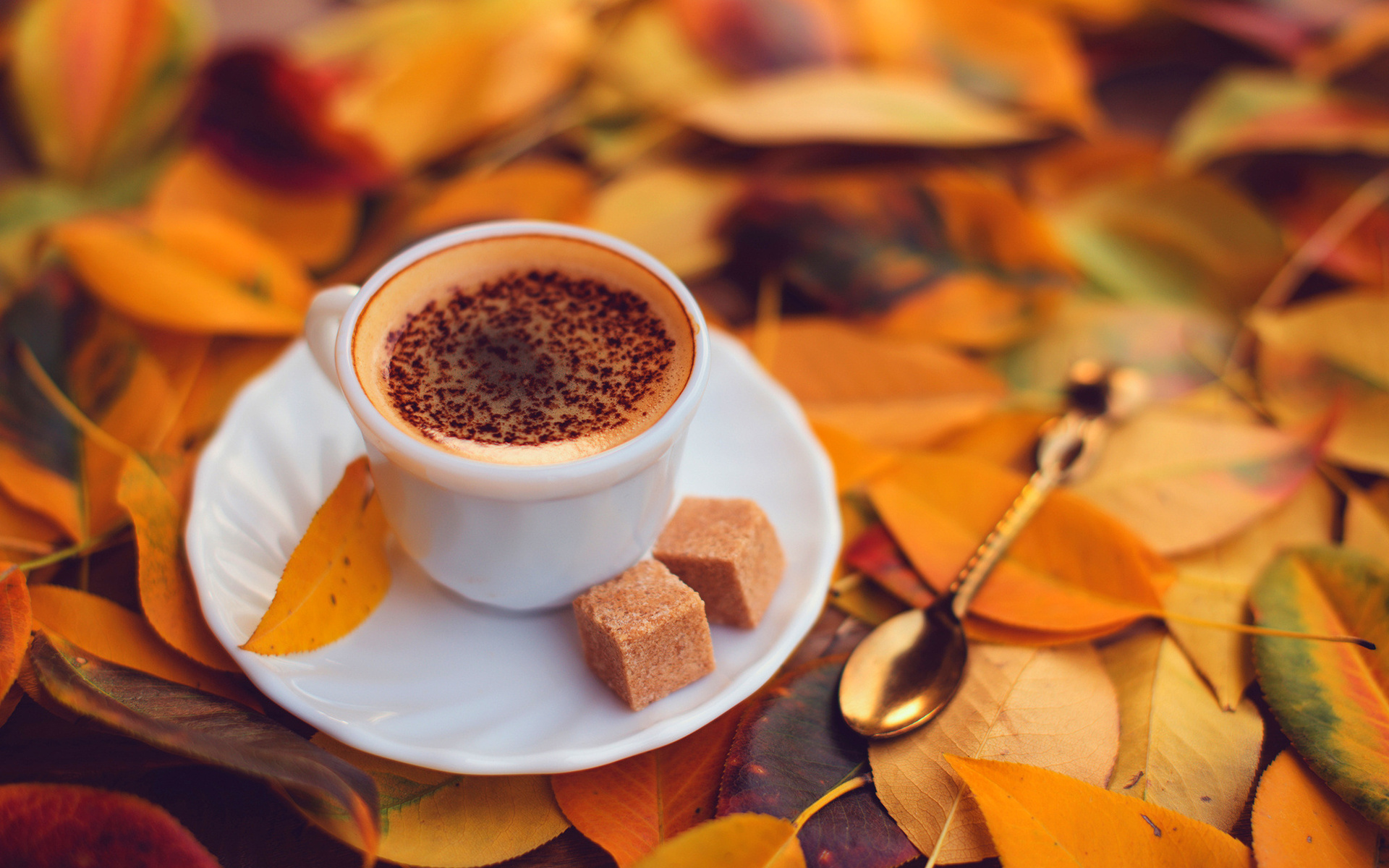 Coffee With Yellow Autumn Leaves Wallpaper