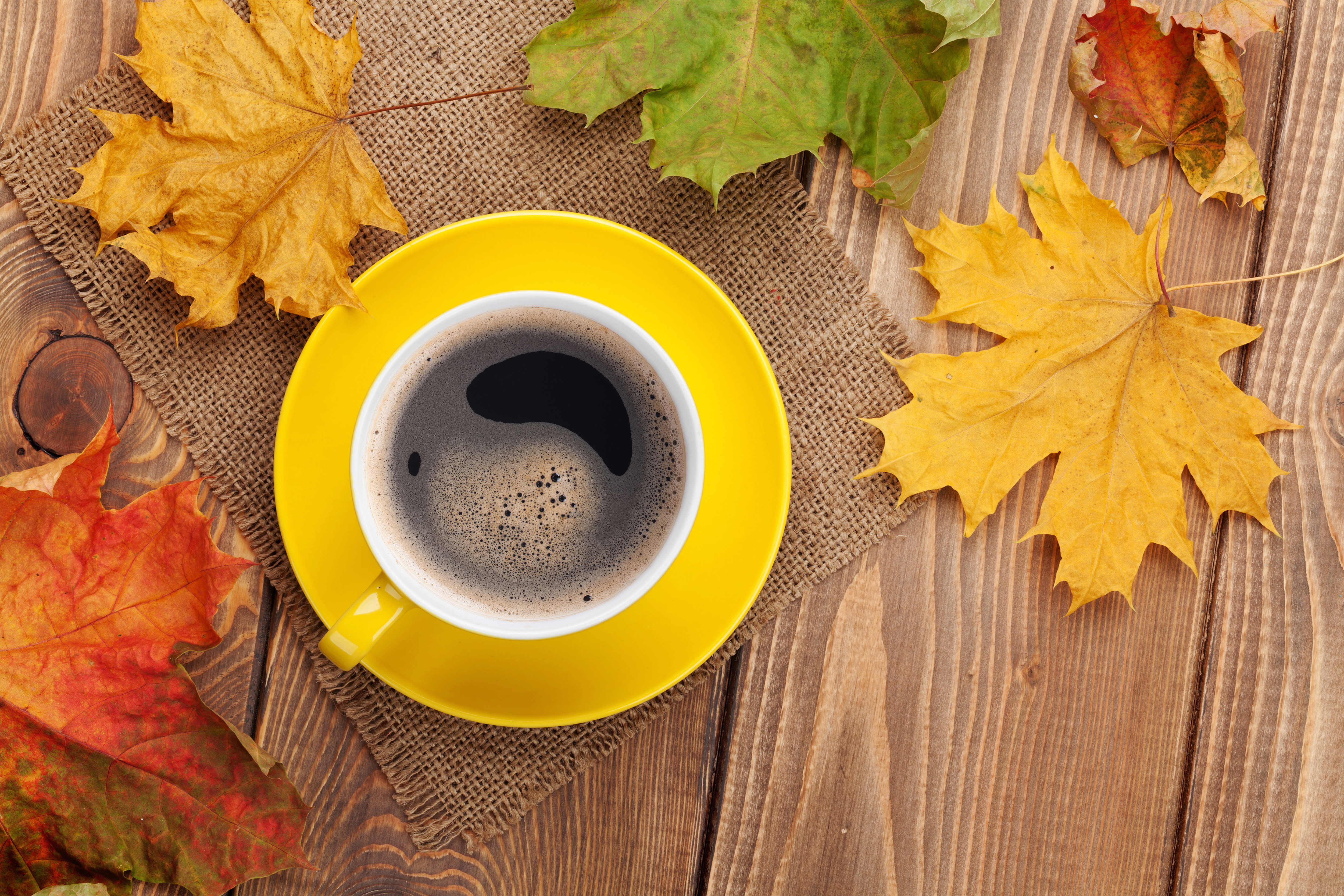 Fall Background with Leaves and Cup of Coffee​-Quality Image and Transparent PNG Free Clipart