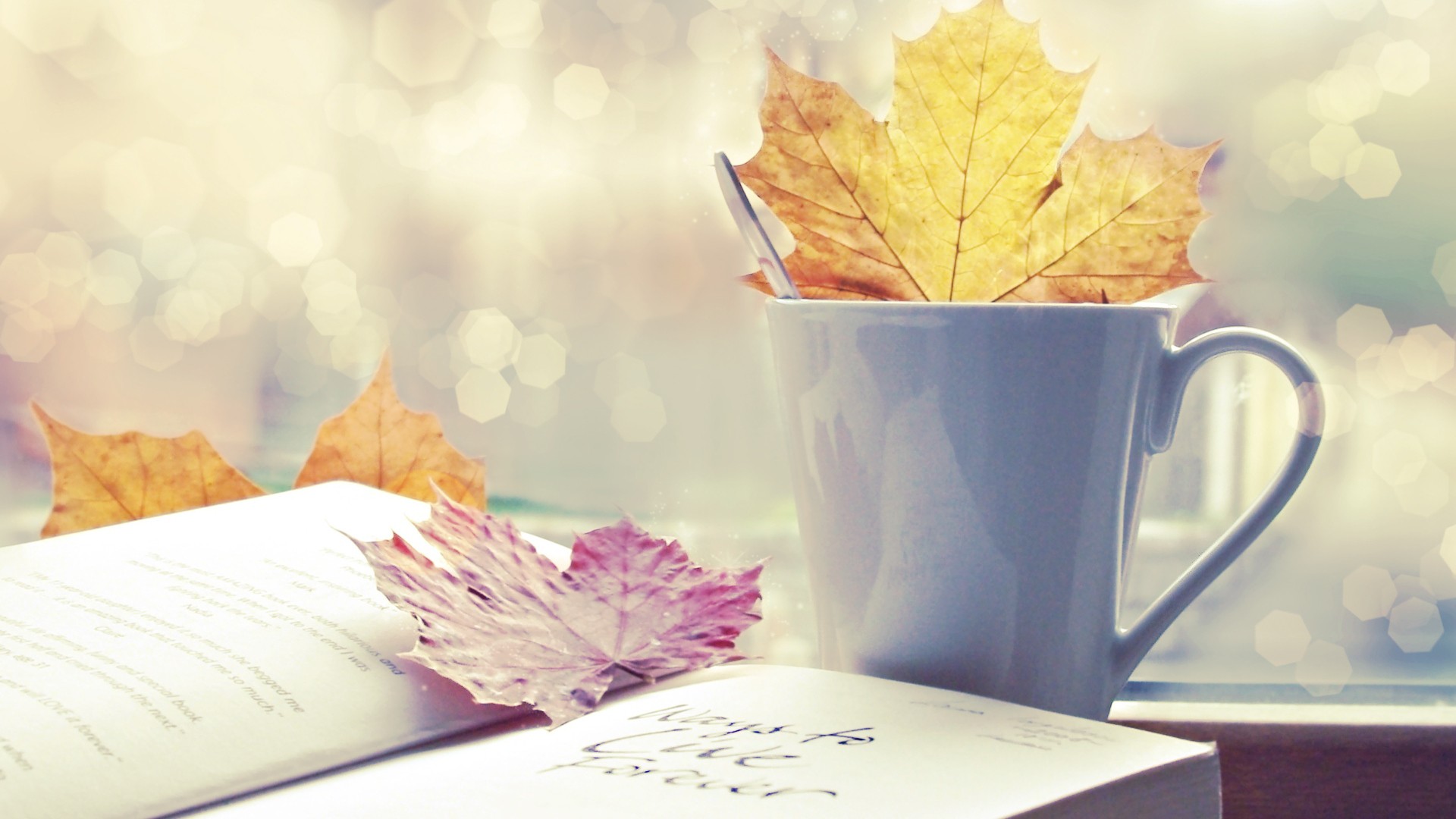 paper, autumn, coffee, books, notebook wallpaper