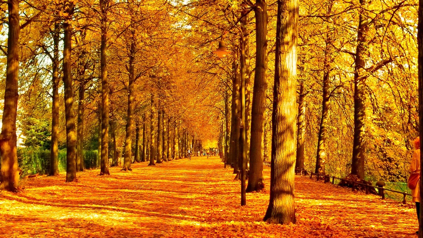 Fall Wallpaper