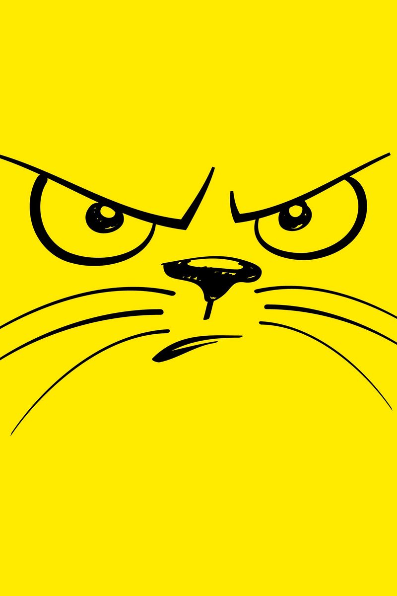 Download Wallpaper 800x1200 Smiley, Cat, Angry, Displeased Iphone 4s 4 For Parallax HD Background
