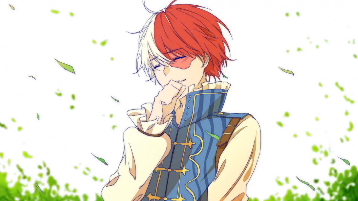 Todoroki Bnha Laptop Wallpaper