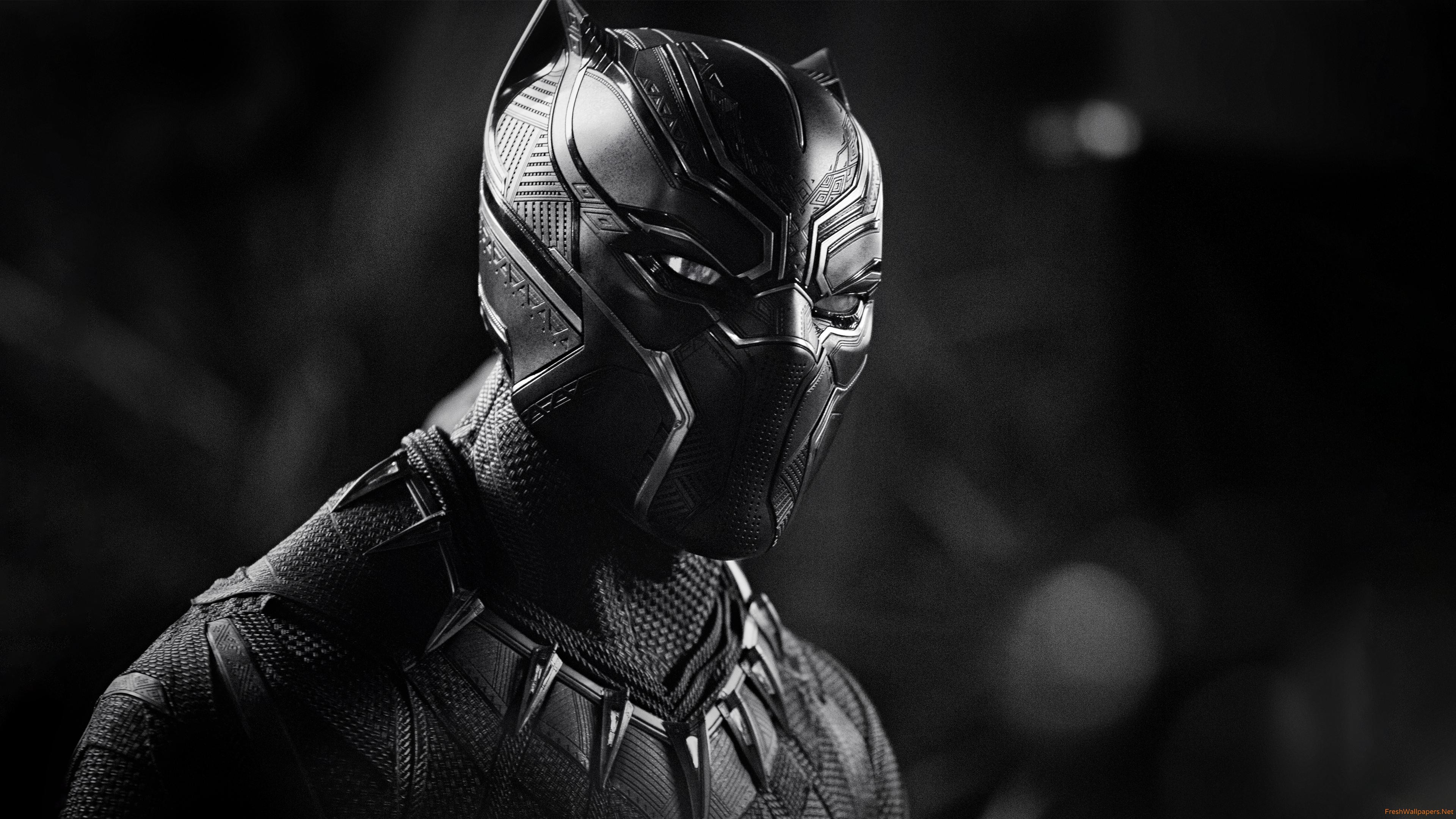 Black Panther 4K Wallpaper