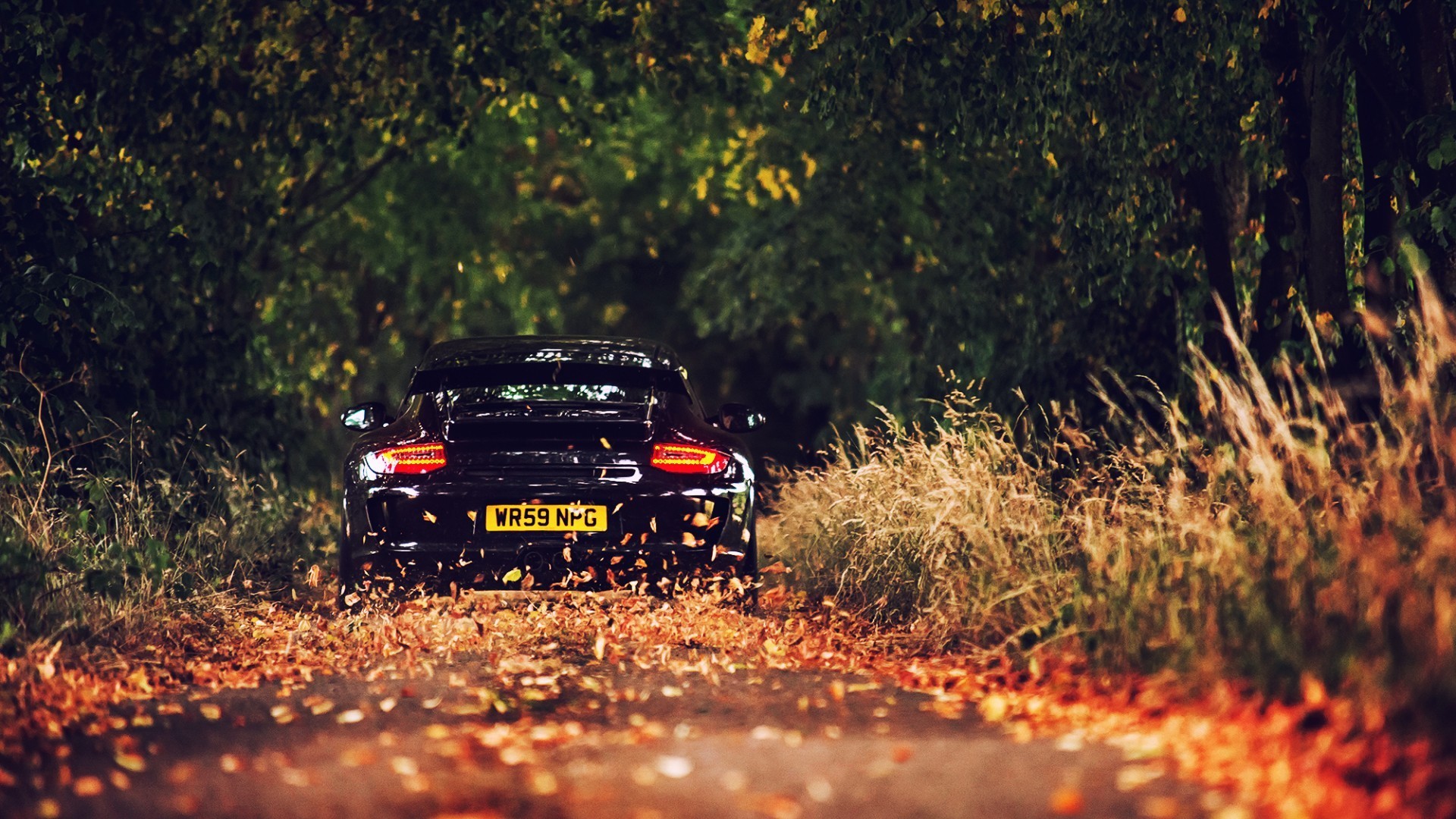 Wallpaper, fall, car, vehicle, road, Porsche, black cars, autumn, off roading 1920x1080