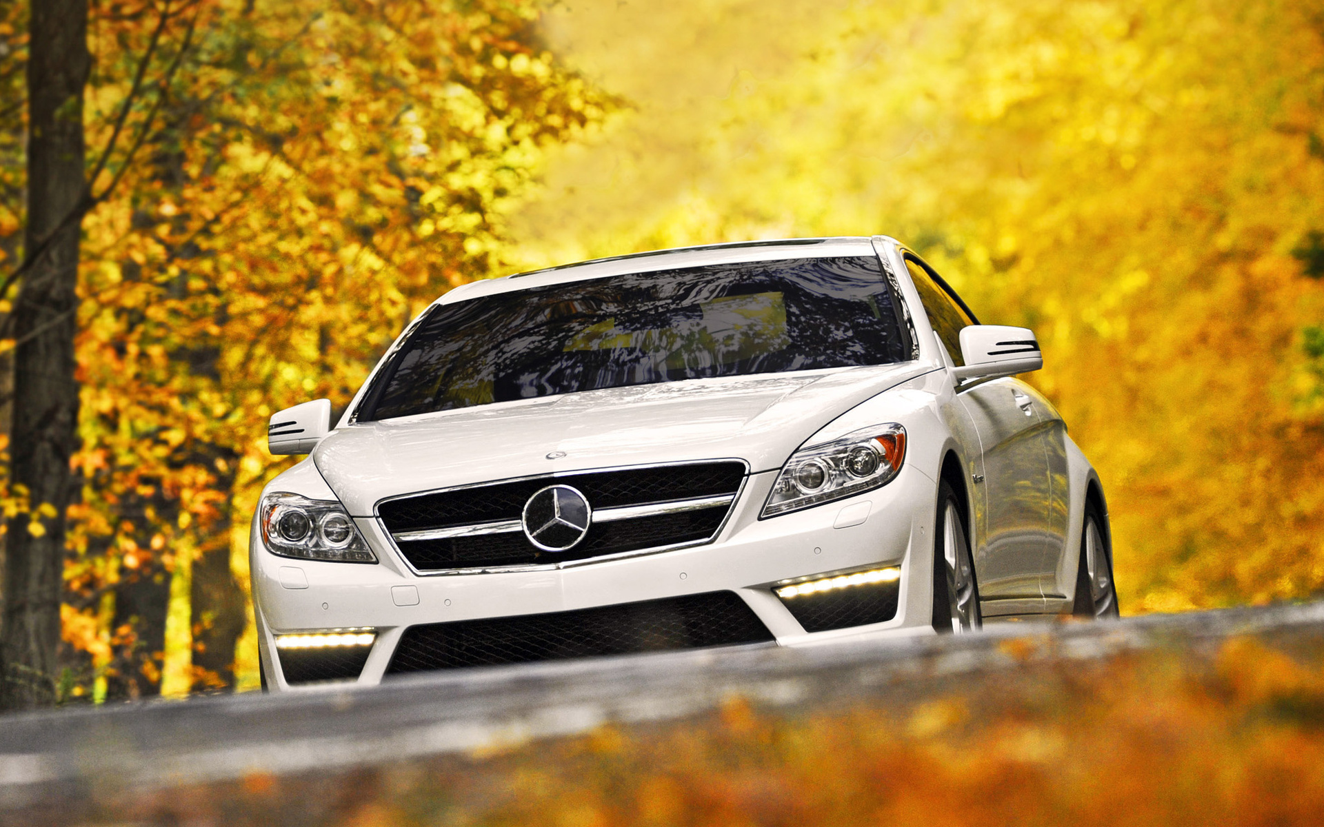 vehicles, Cars, Mercedes, Autumn, Fall Wallpaper HD / Desktop and Mobile Background