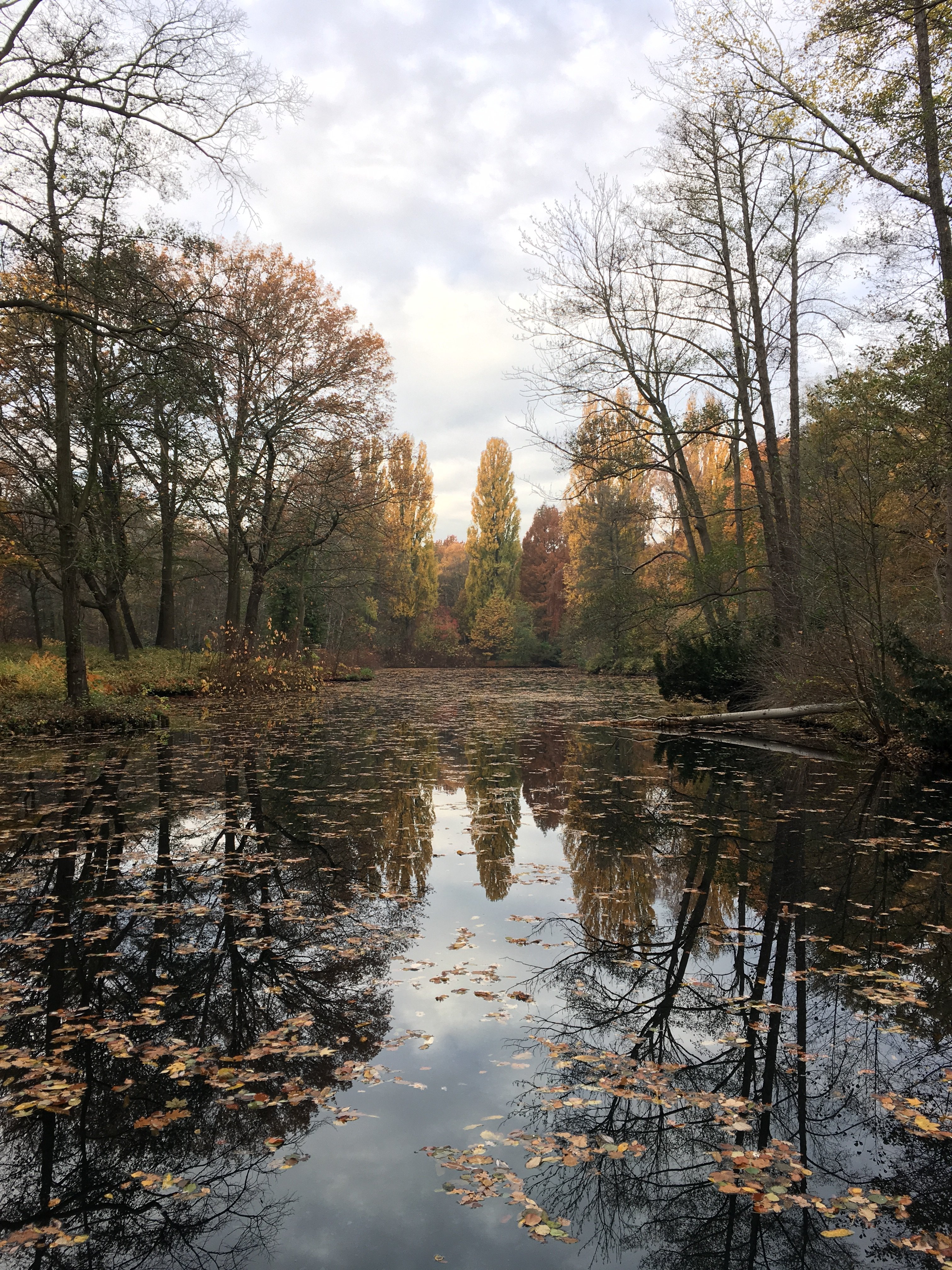 Tiergarten Berlin HD wallpaper