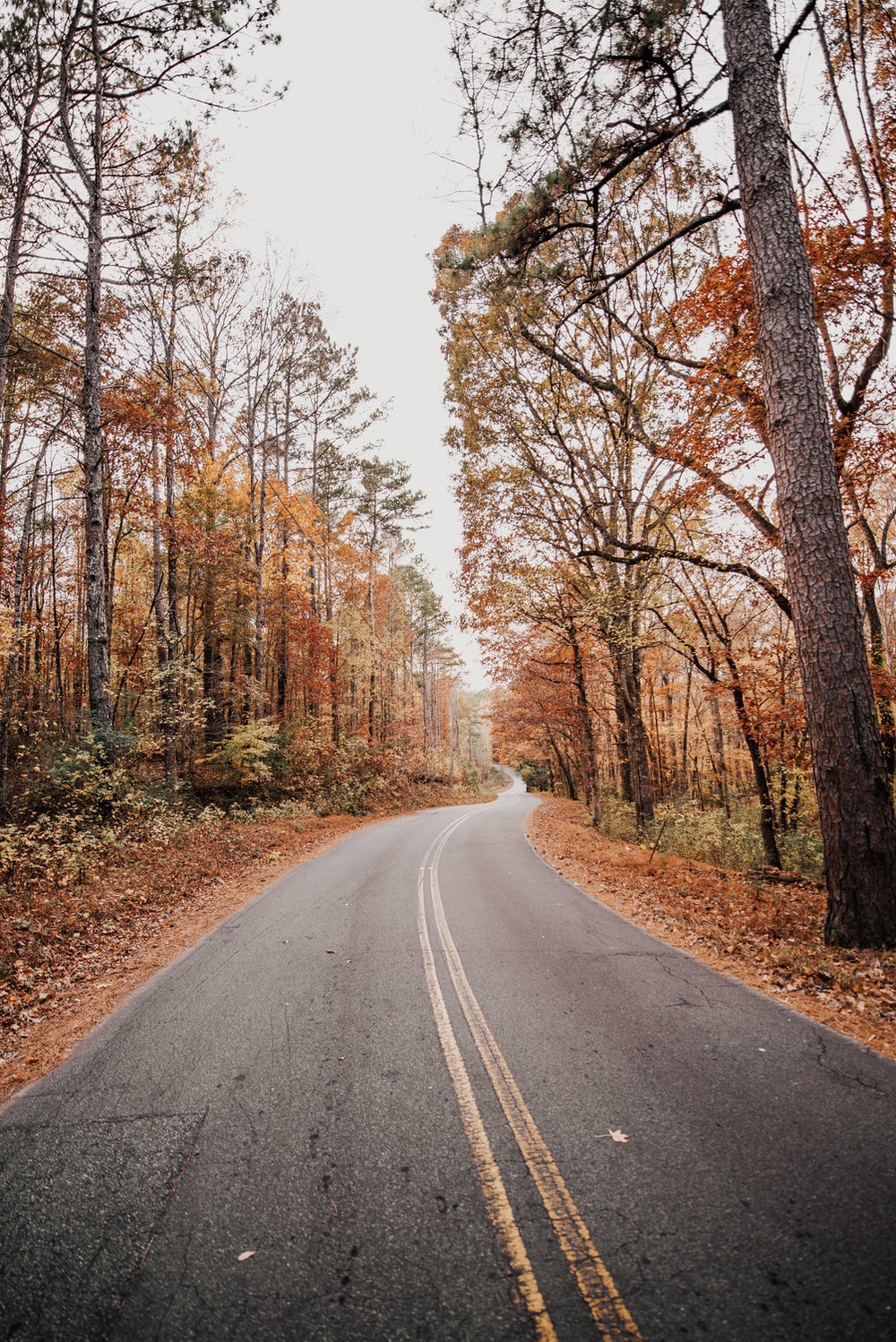 Autumn Roads Picture. Download Free Image