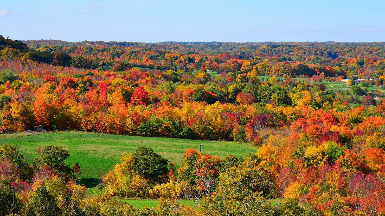 Green Red Yellow Fall Autumn Wallpapers Wallpaper Cave
