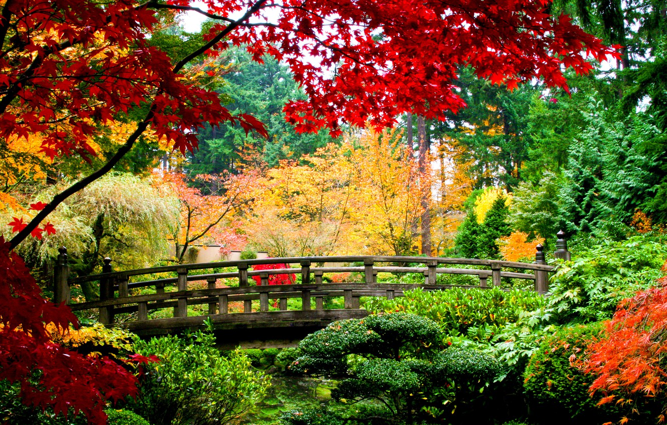 Wallpaper autumn, leaves, trees, bridge, nature, yellow, green, red, wooden image for desktop, section пейзажи