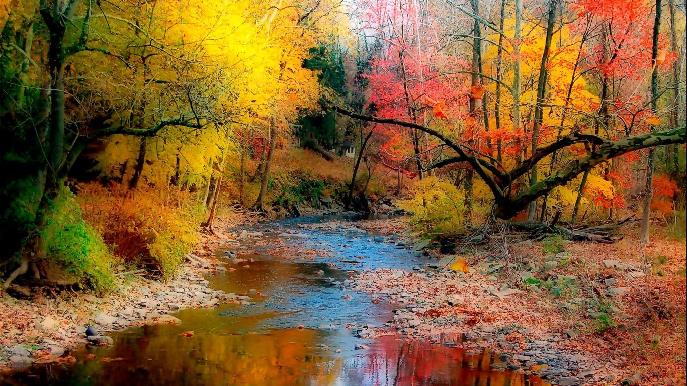Autumn Variety Of Color Trees With Yellow Green Leaves And Red River Desktop Wallpaper HD, Wallpaper13.com
