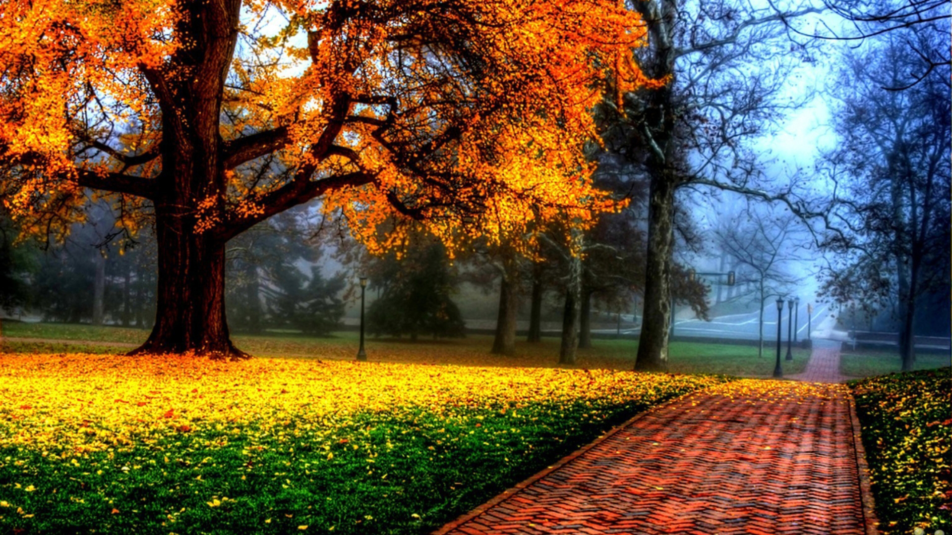 Stone Pavement Between Green Grass With Falling Yellow Leaves From Tree HD Beautiful Wallpaper