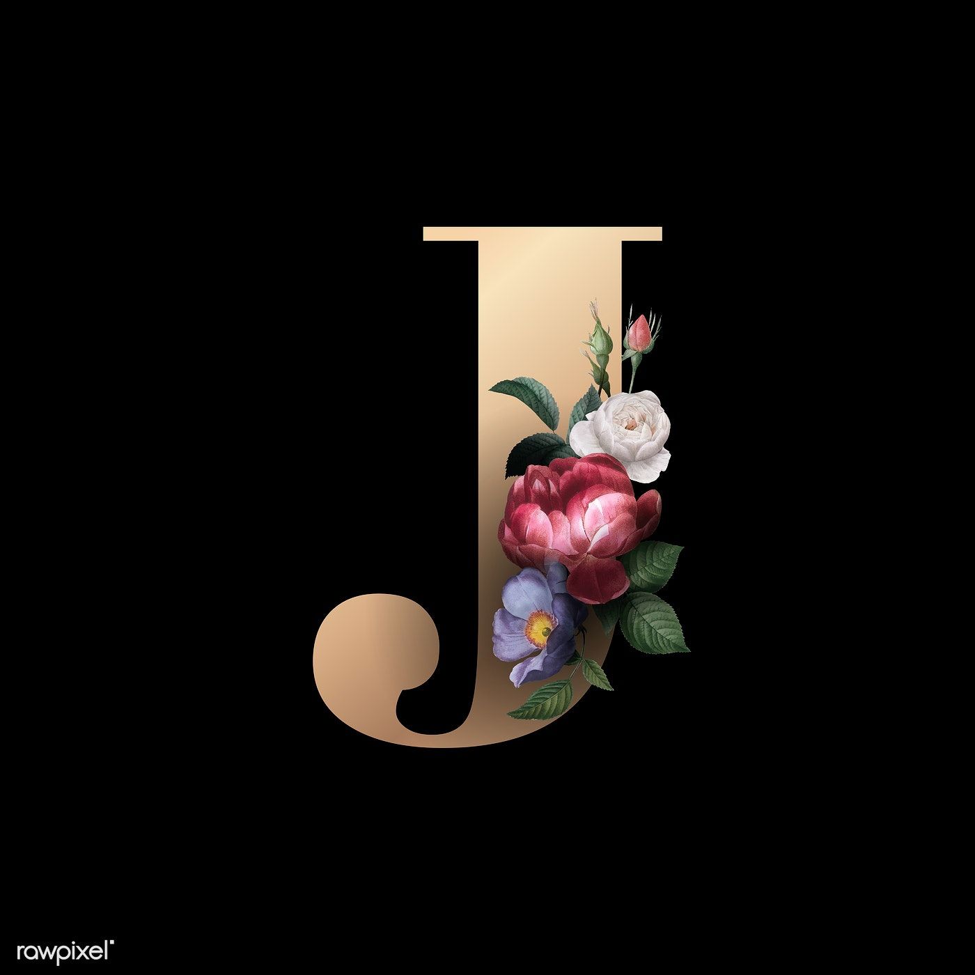 Classic and elegant floral alphabet font letter J vector. free image by rawpixel.com / manotang. Fonts alphabet, Lettering fonts, Lettering alphabet fonts