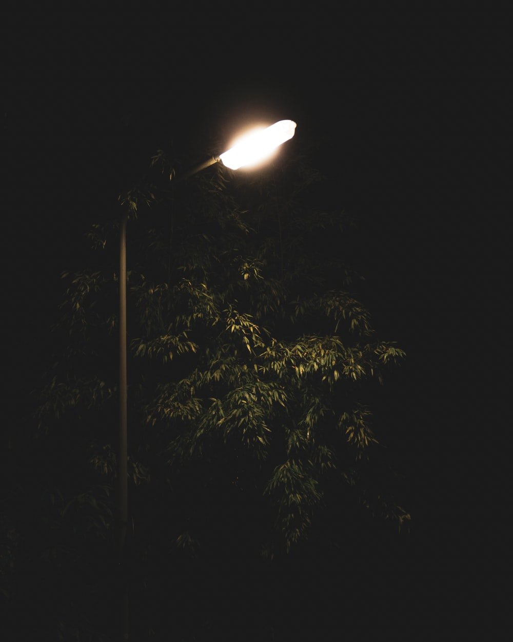 Street Light Picture [HQ]. Download Free Image