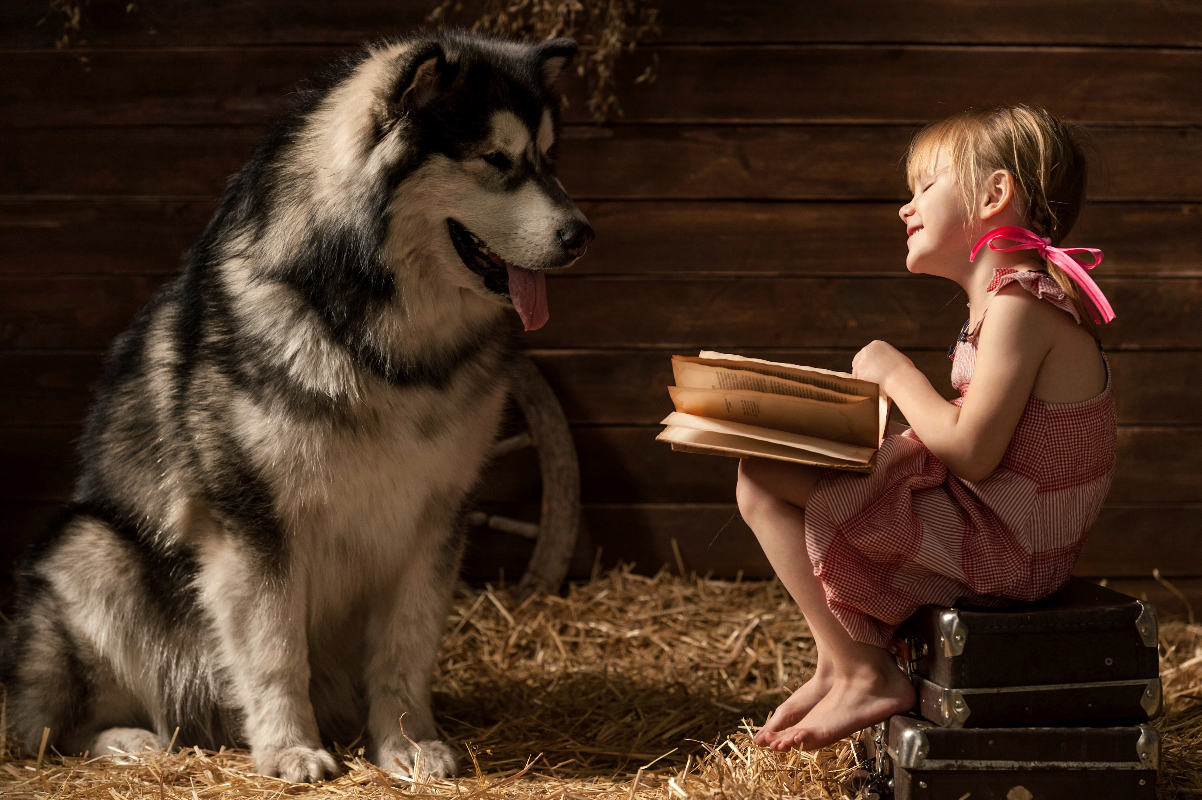Big Dog and Little Girl 4k Ultra HD Wallpaper